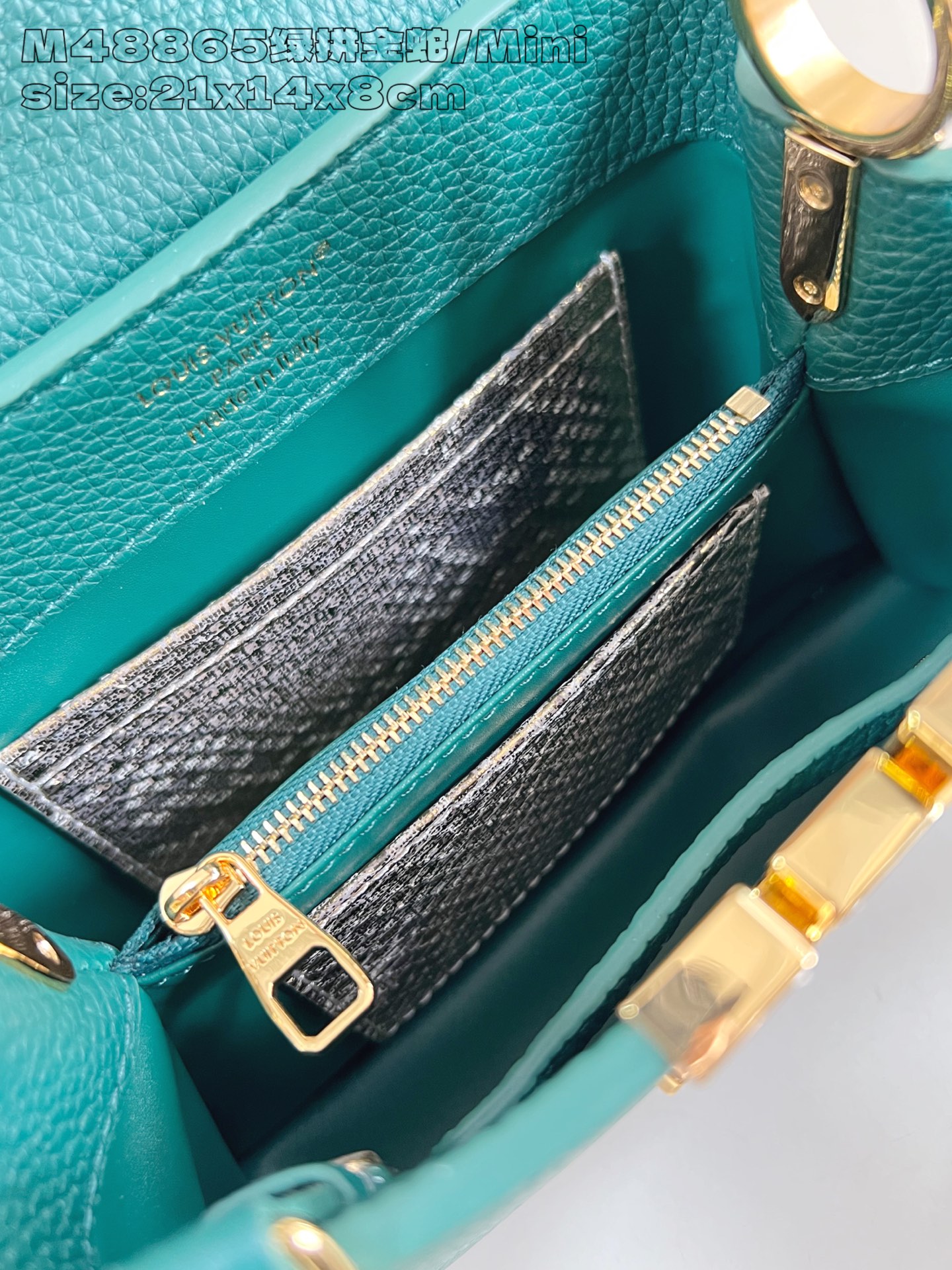 Louis Vuitton Basic Bag Cow Leather M-l-s