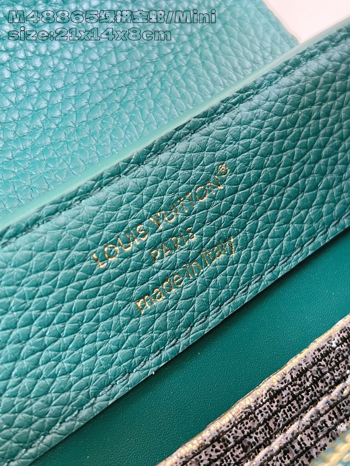 Louis Vuitton Basic Bag Cow Leather M-l-s