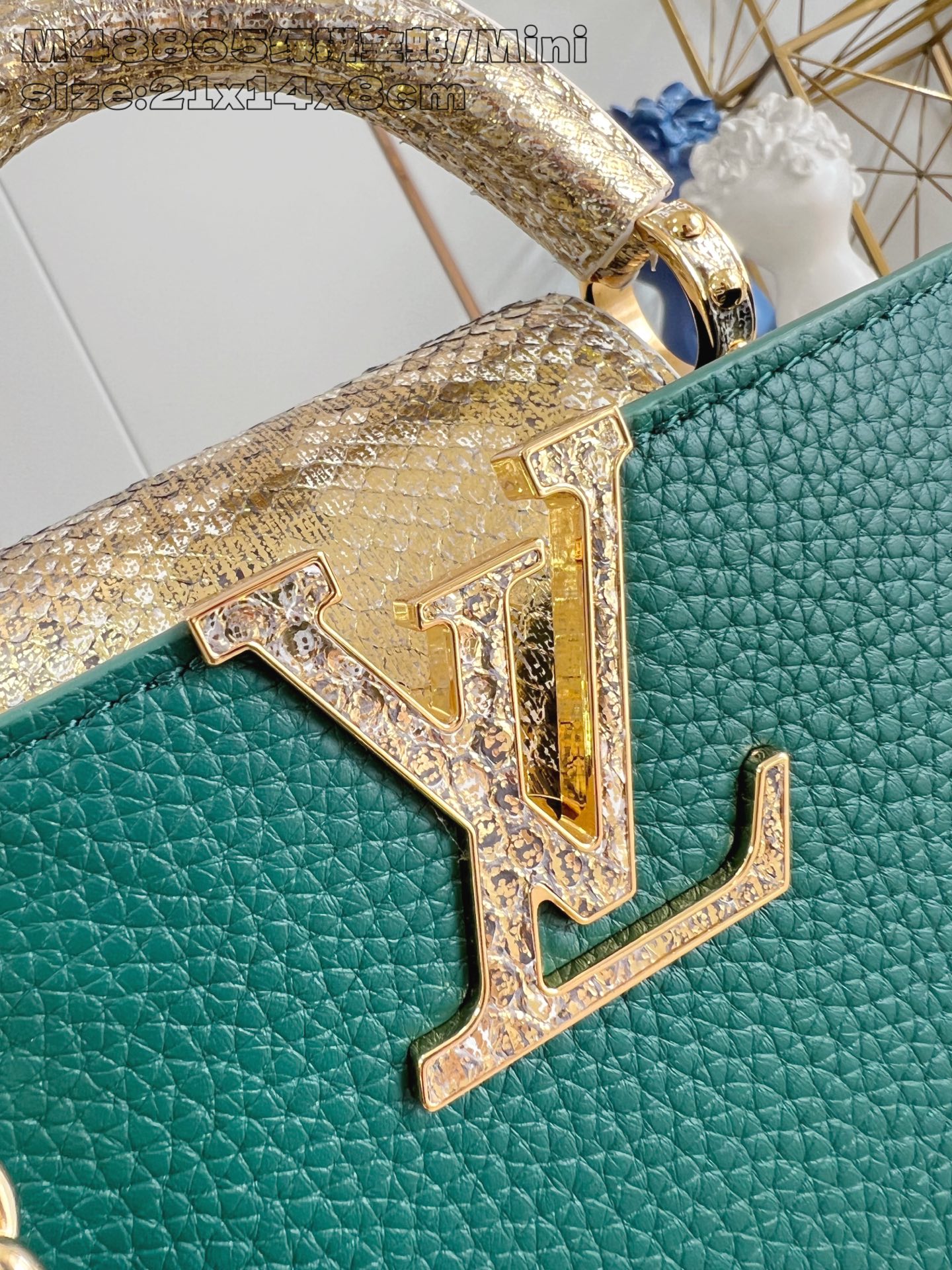 Louis Vuitton Basic Bag Cow Leather M-l-s