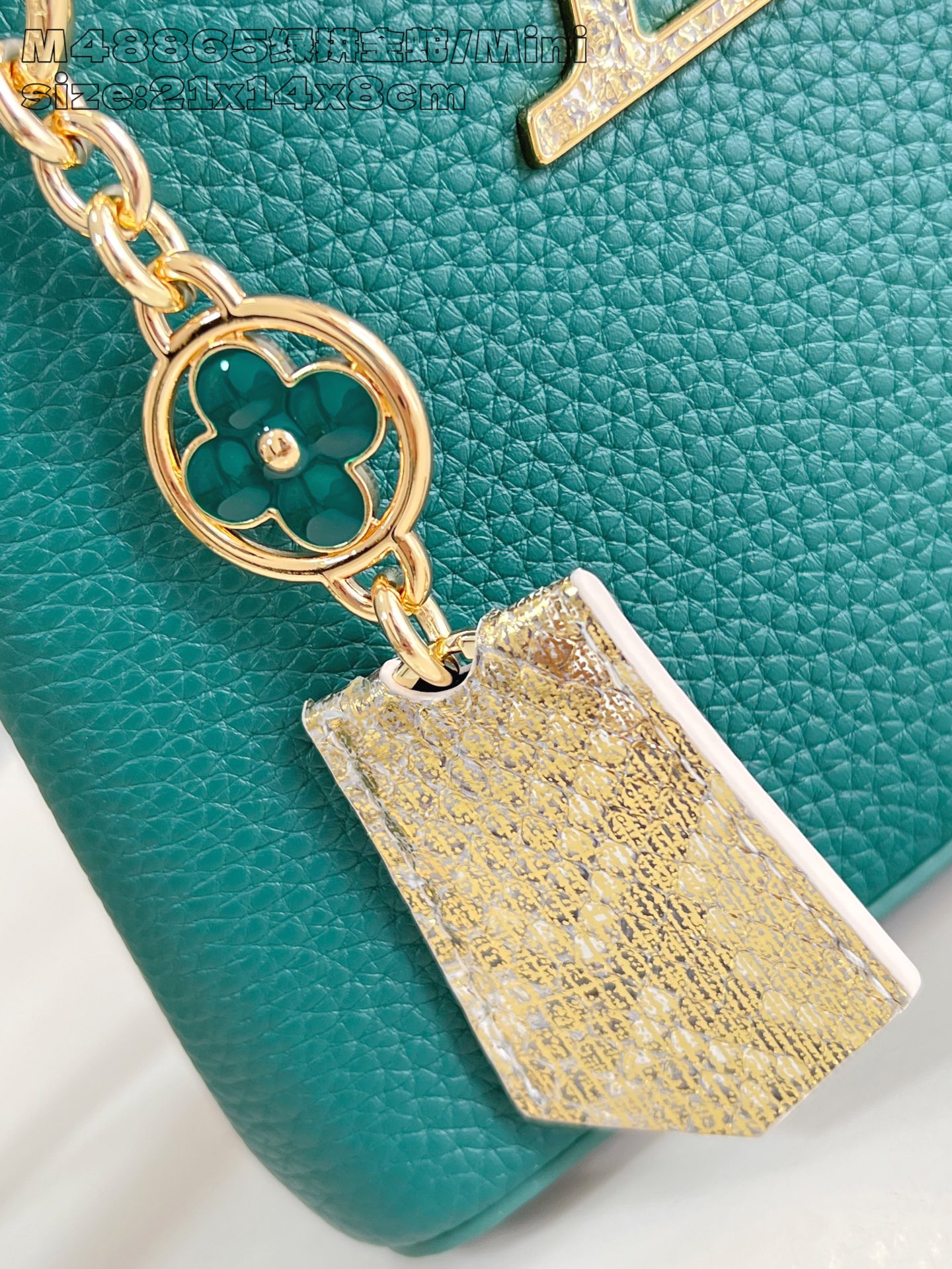 Louis Vuitton Basic Bag Cow Leather M-l-s