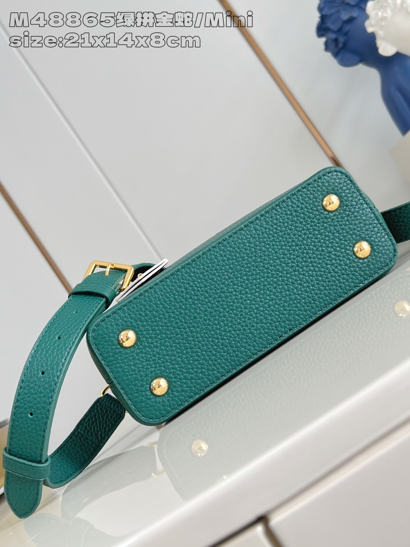 Louis Vuitton Basic Bag Cow Leather M-l-s