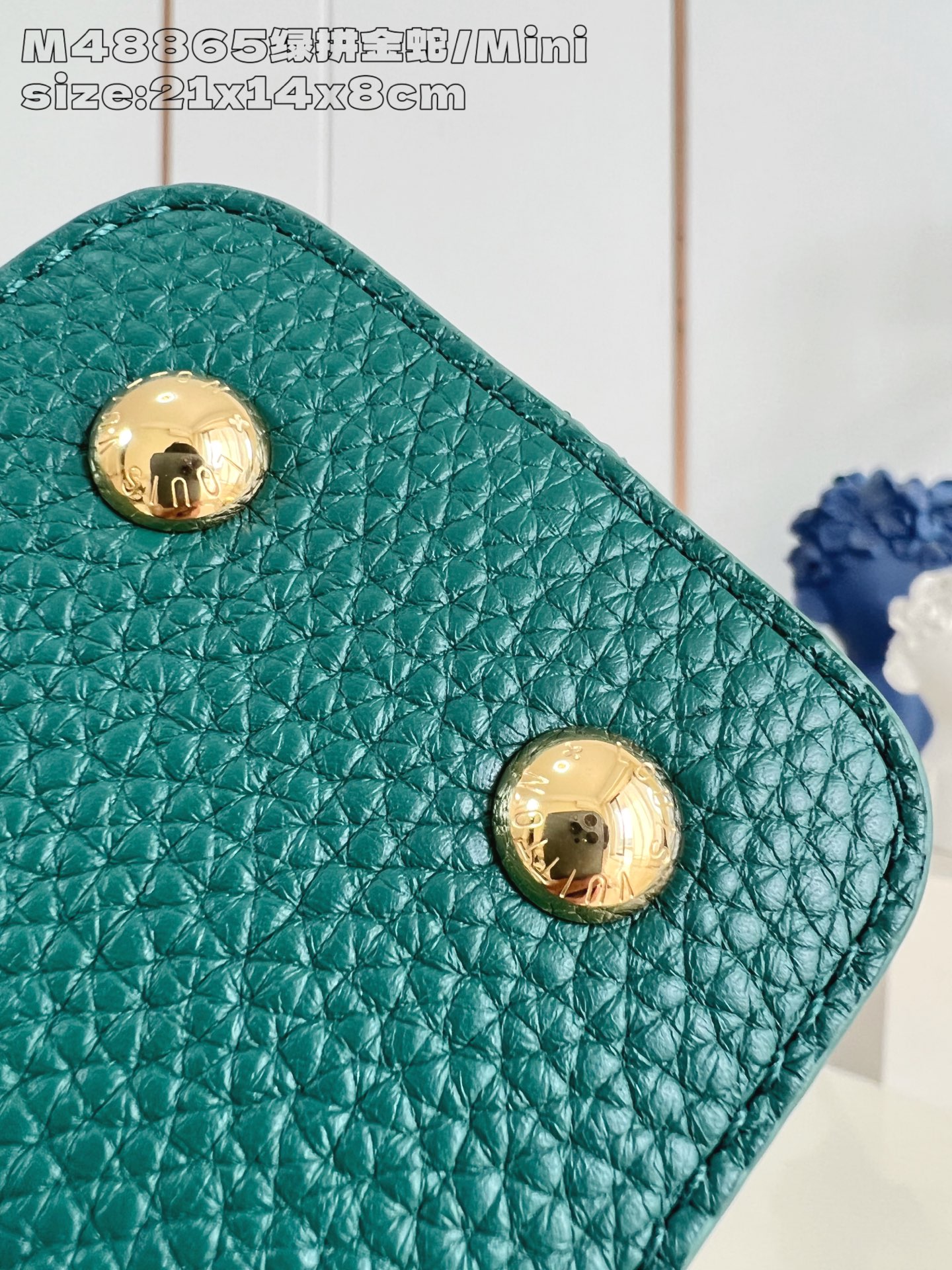 Louis Vuitton Basic Bag Cow Leather M-l-s