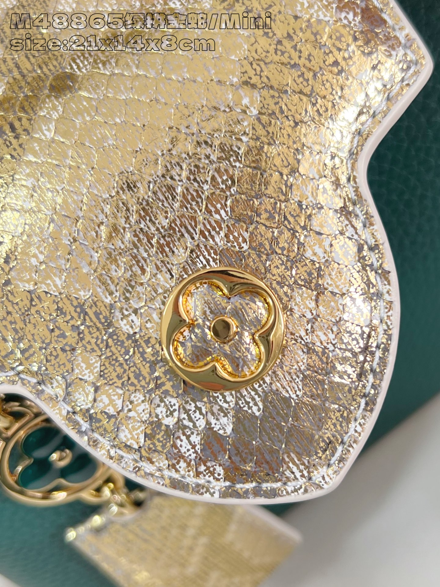 Louis Vuitton Basic Bag Cow Leather M-l-s