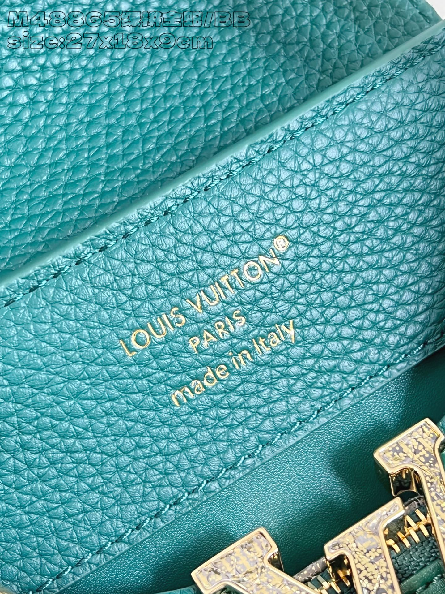 Louis Vuitton Basic Bag Cow Leather M-l-s