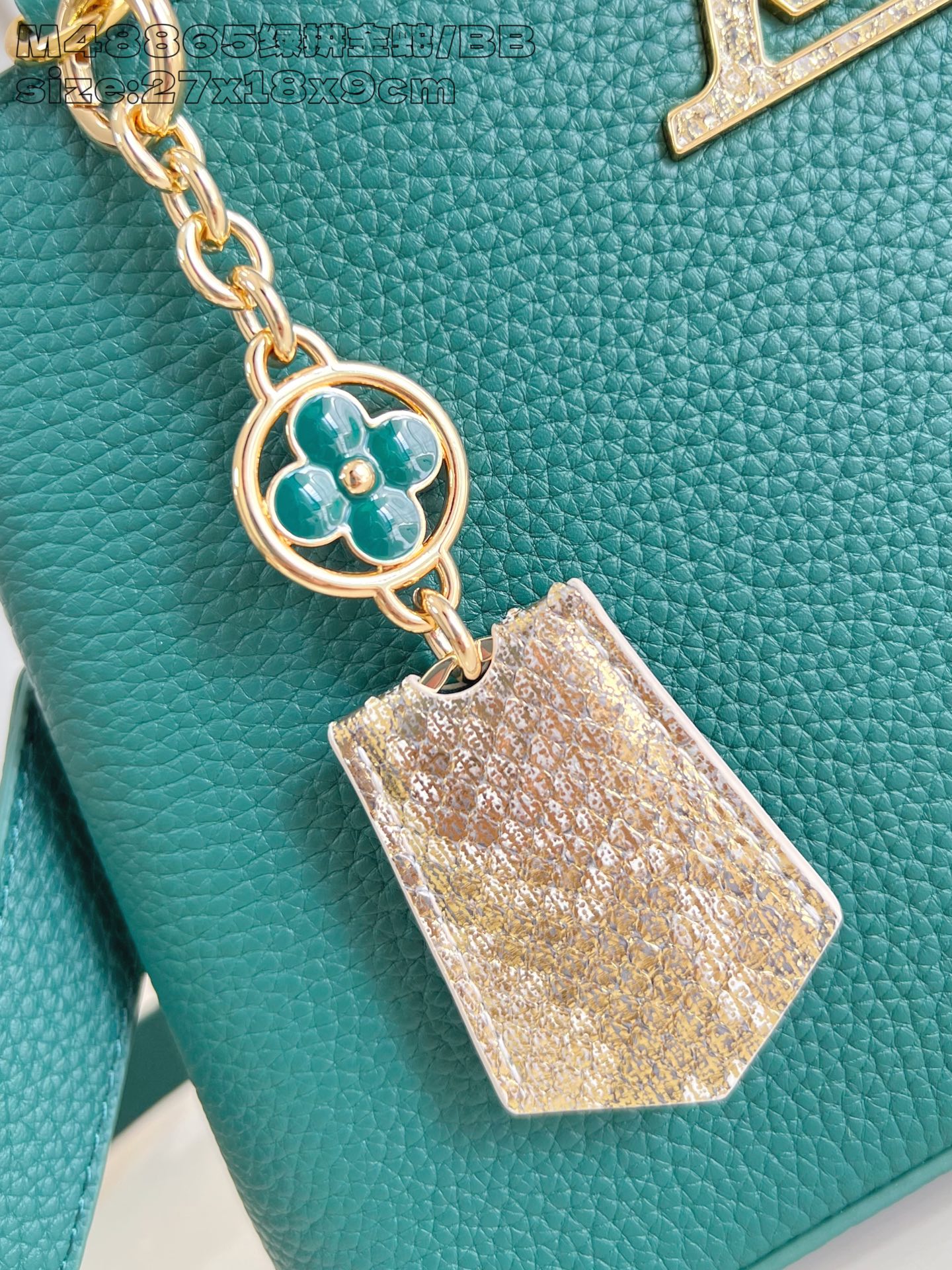 Louis Vuitton Basic Bag Cow Leather M-l-s