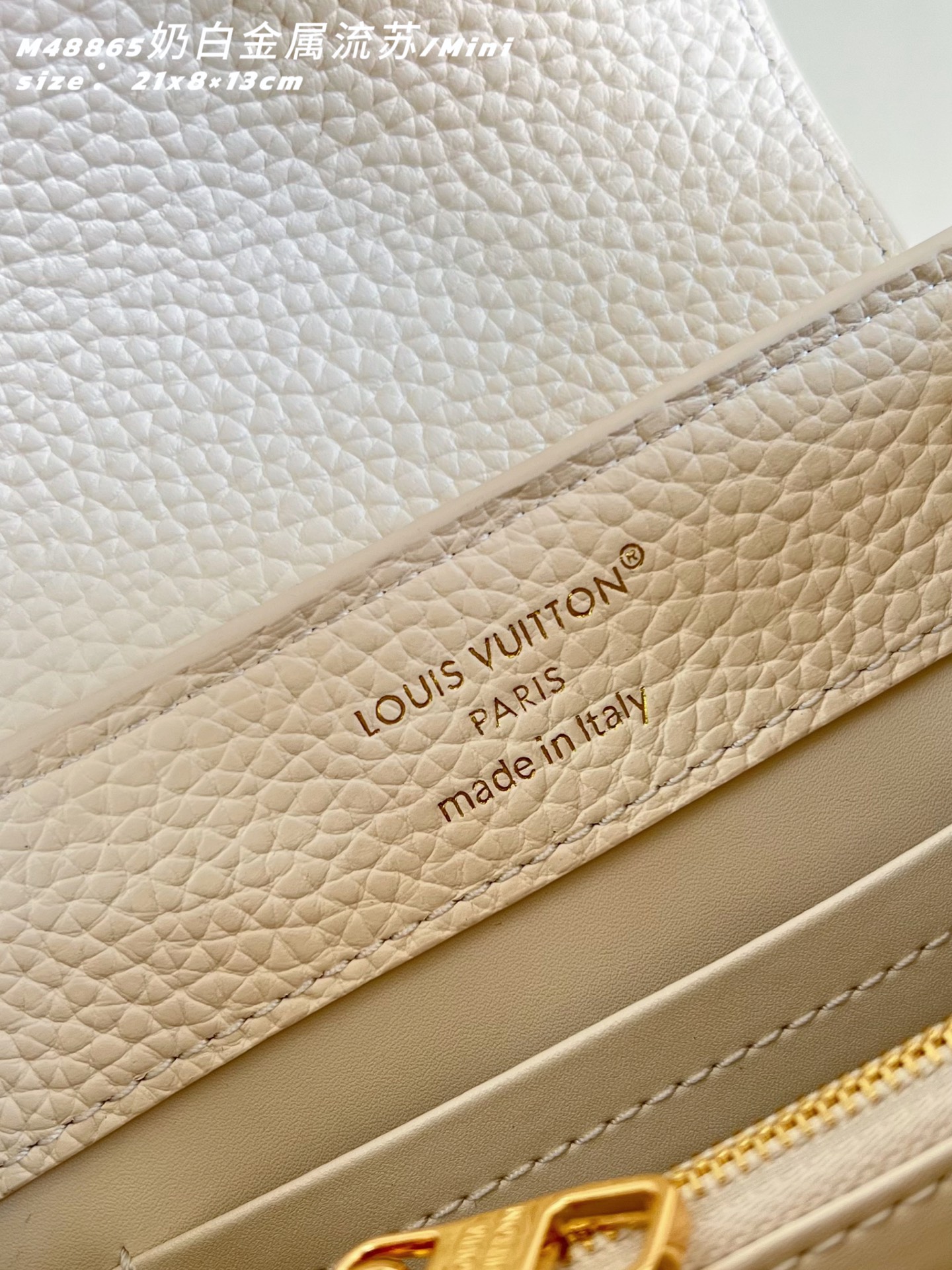 Louis Vuitton Basic Bag Cow Leather M-l-s