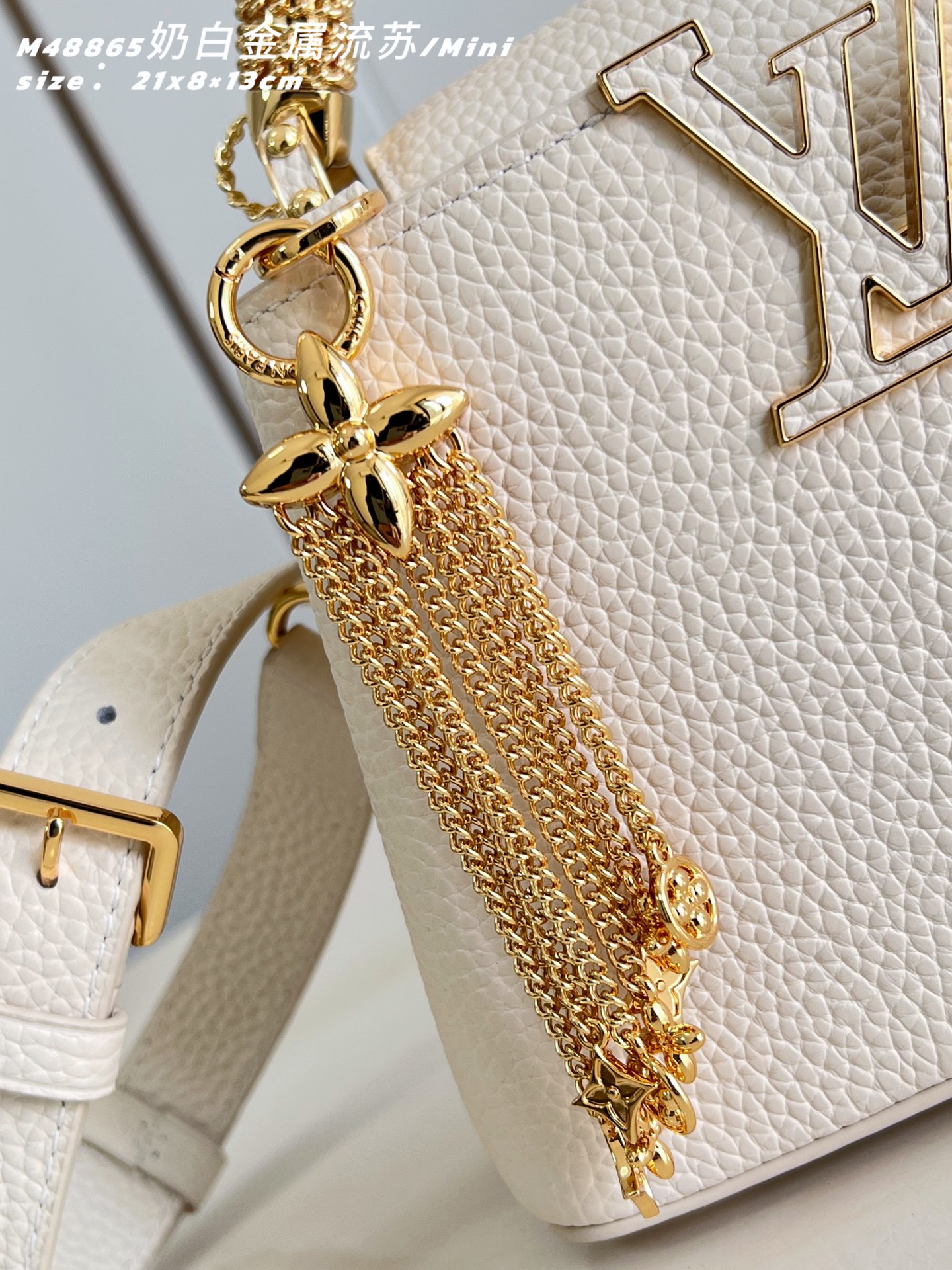 Louis Vuitton Basic Bag Cow Leather M-l-s