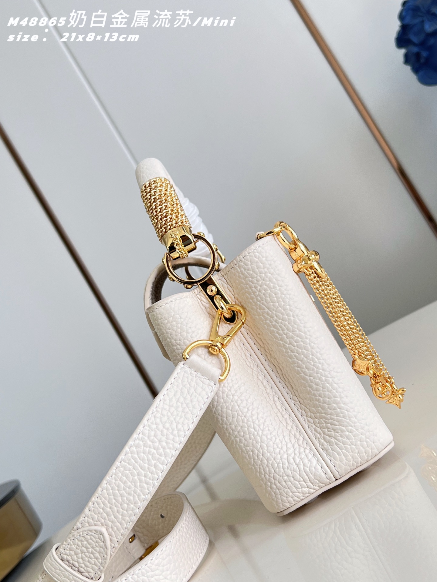 Louis Vuitton Basic Bag Cow Leather M-l-s