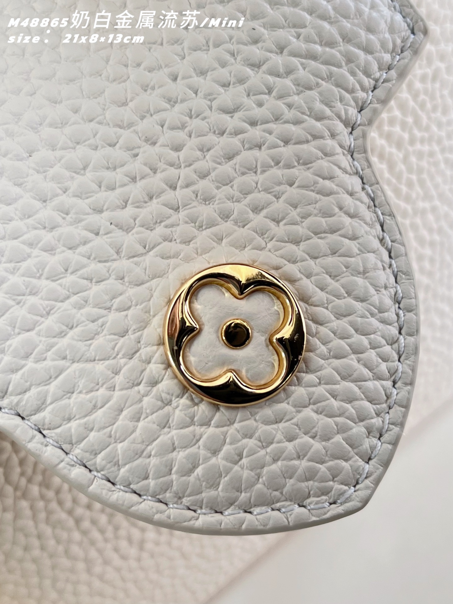 Louis Vuitton Basic Bag Cow Leather M-l-s