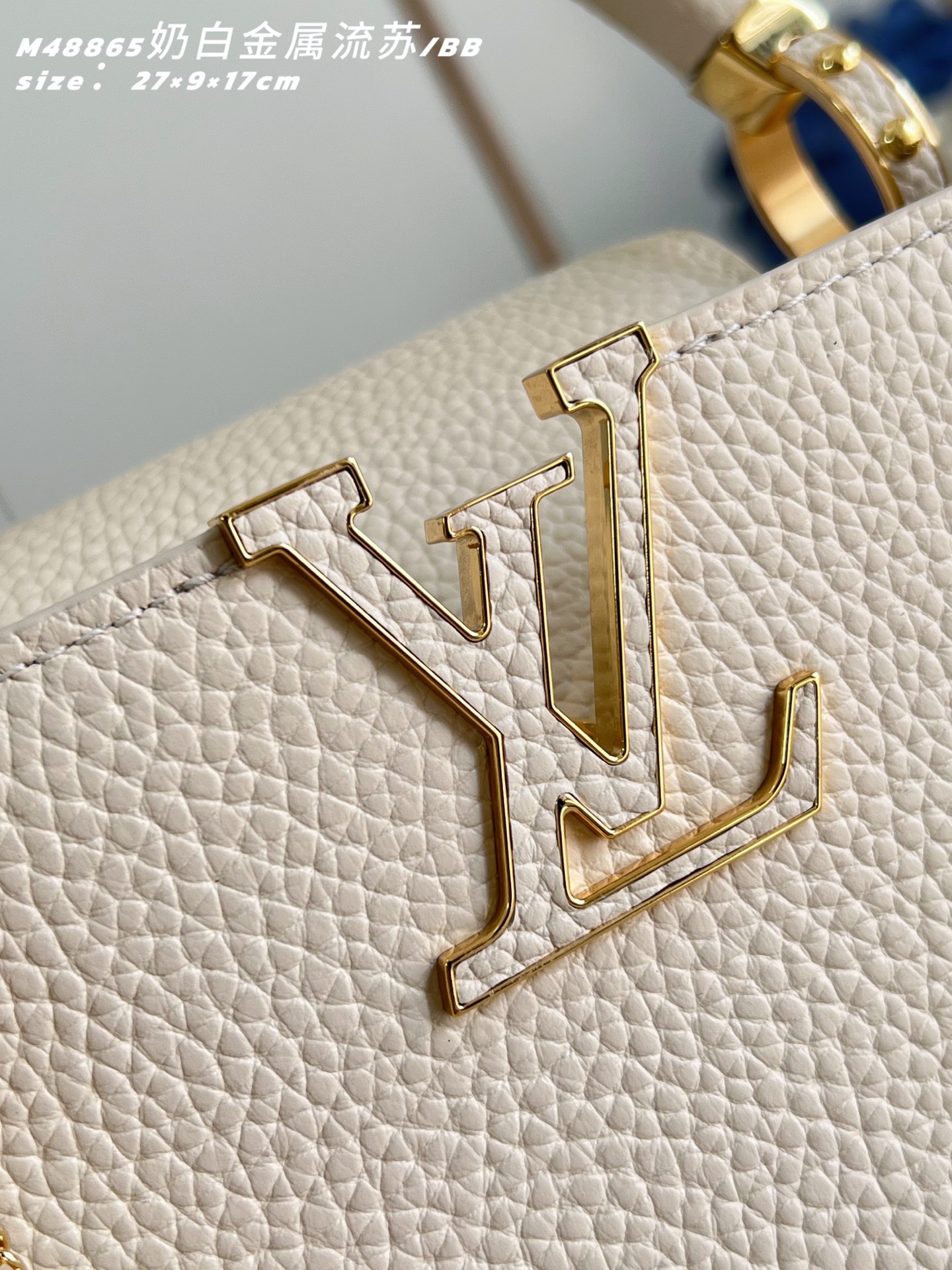 Louis Vuitton Basic Bag Cow Leather M-l-s