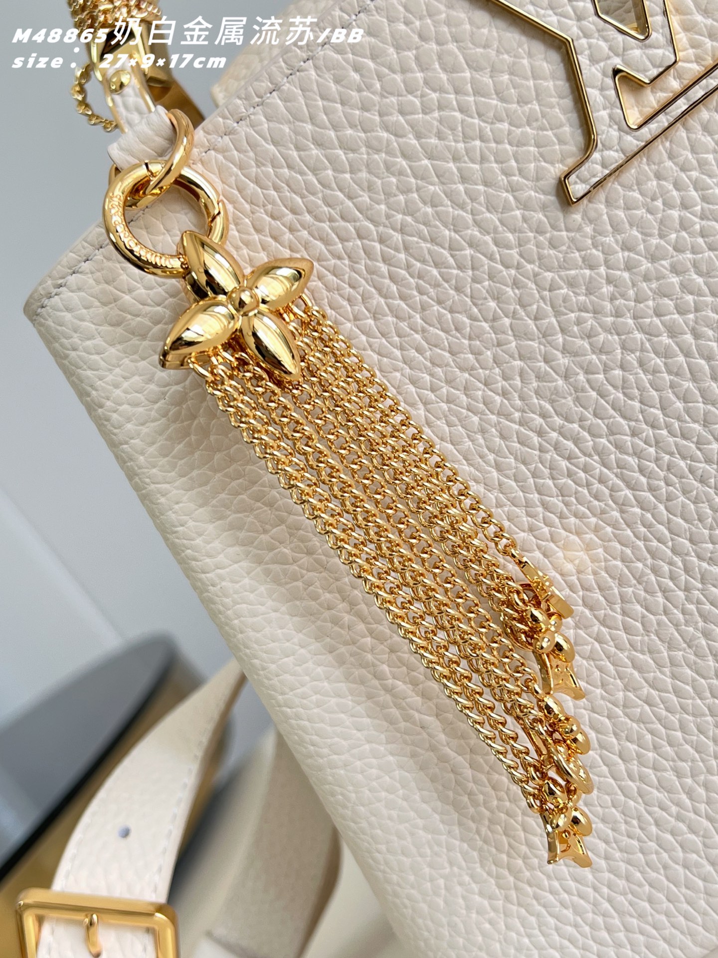 Louis Vuitton Basic Bag Cow Leather M-l-s