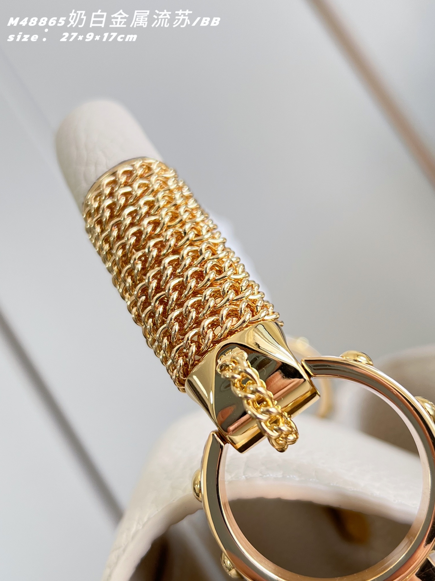 Louis Vuitton Basic Bag Cow Leather M-l-s