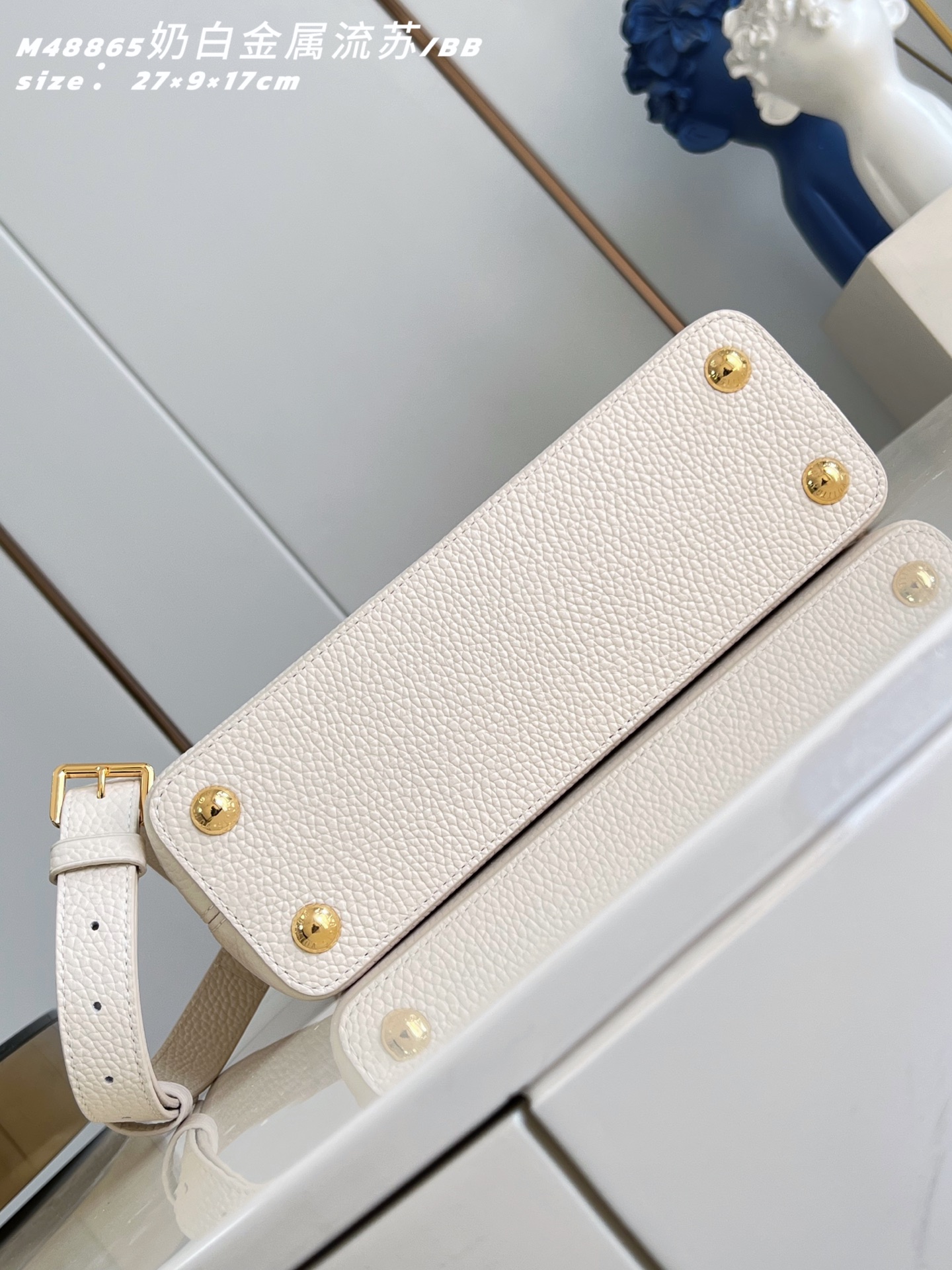 Louis Vuitton Basic Bag Cow Leather M-l-s