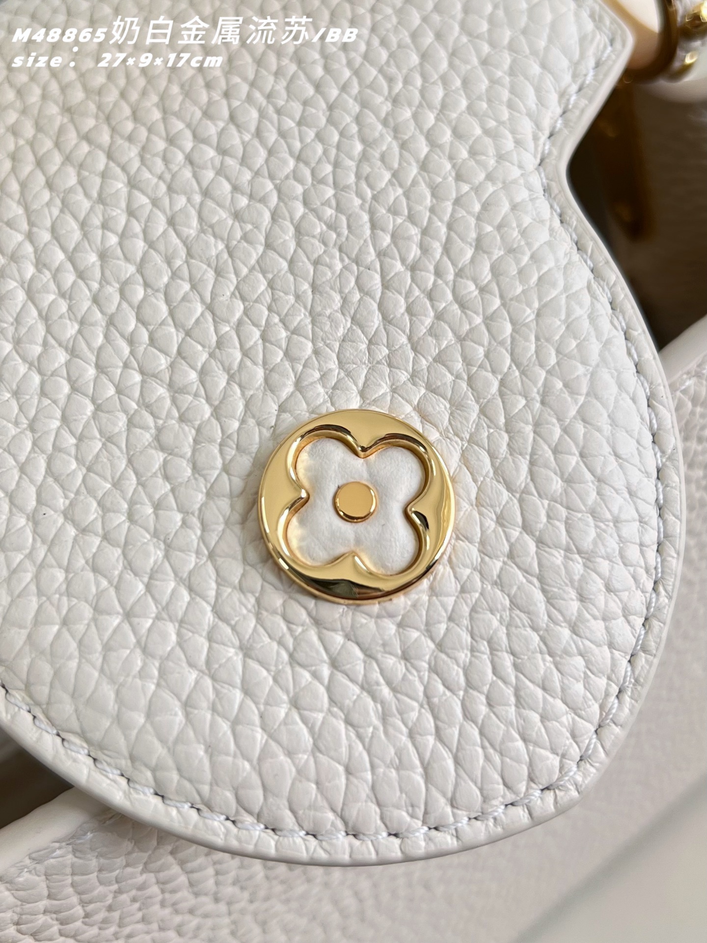 Louis Vuitton Basic Bag Cow Leather M-l-s