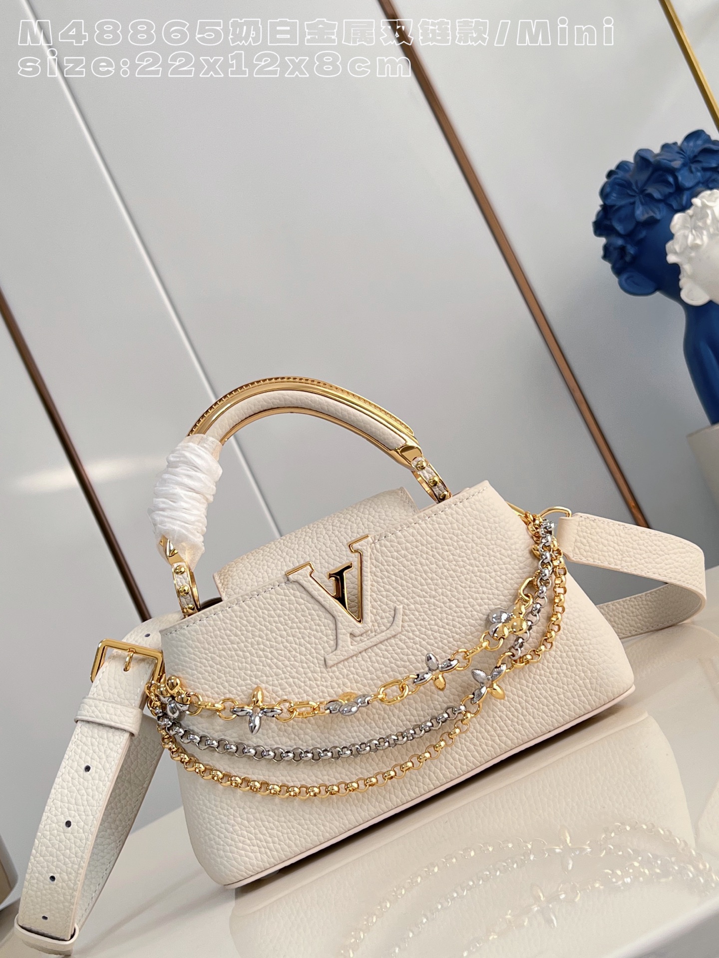 Louis Vuitton Basic Bag Cow Leather M-l-s