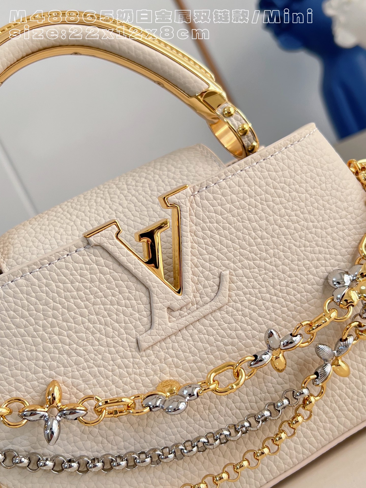 Louis Vuitton Basic Bag Cow Leather M-l-s