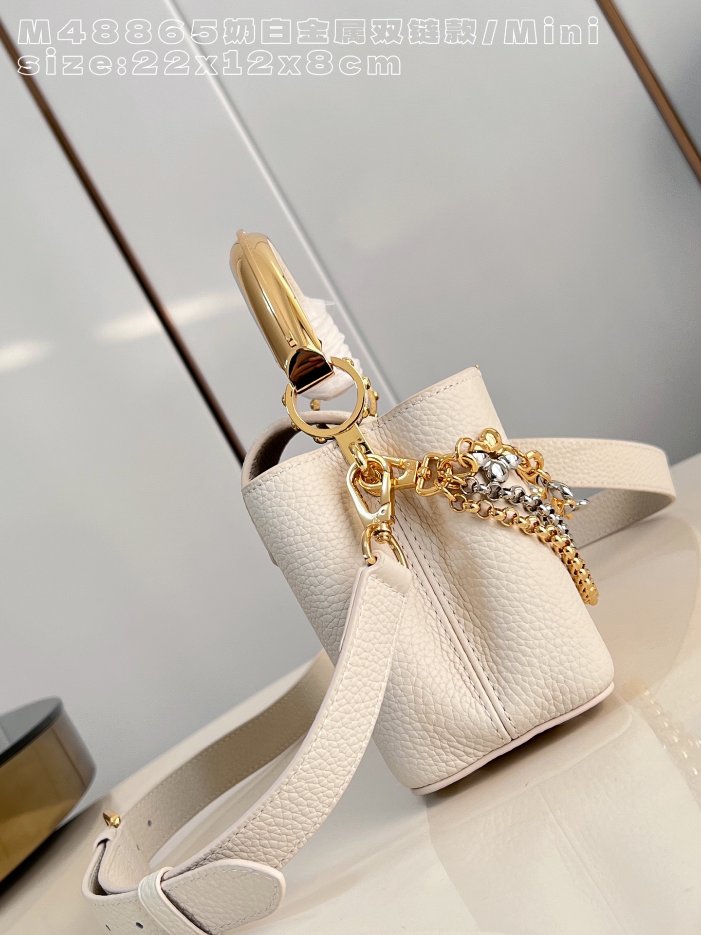 Louis Vuitton Basic Bag Cow Leather M-l-s