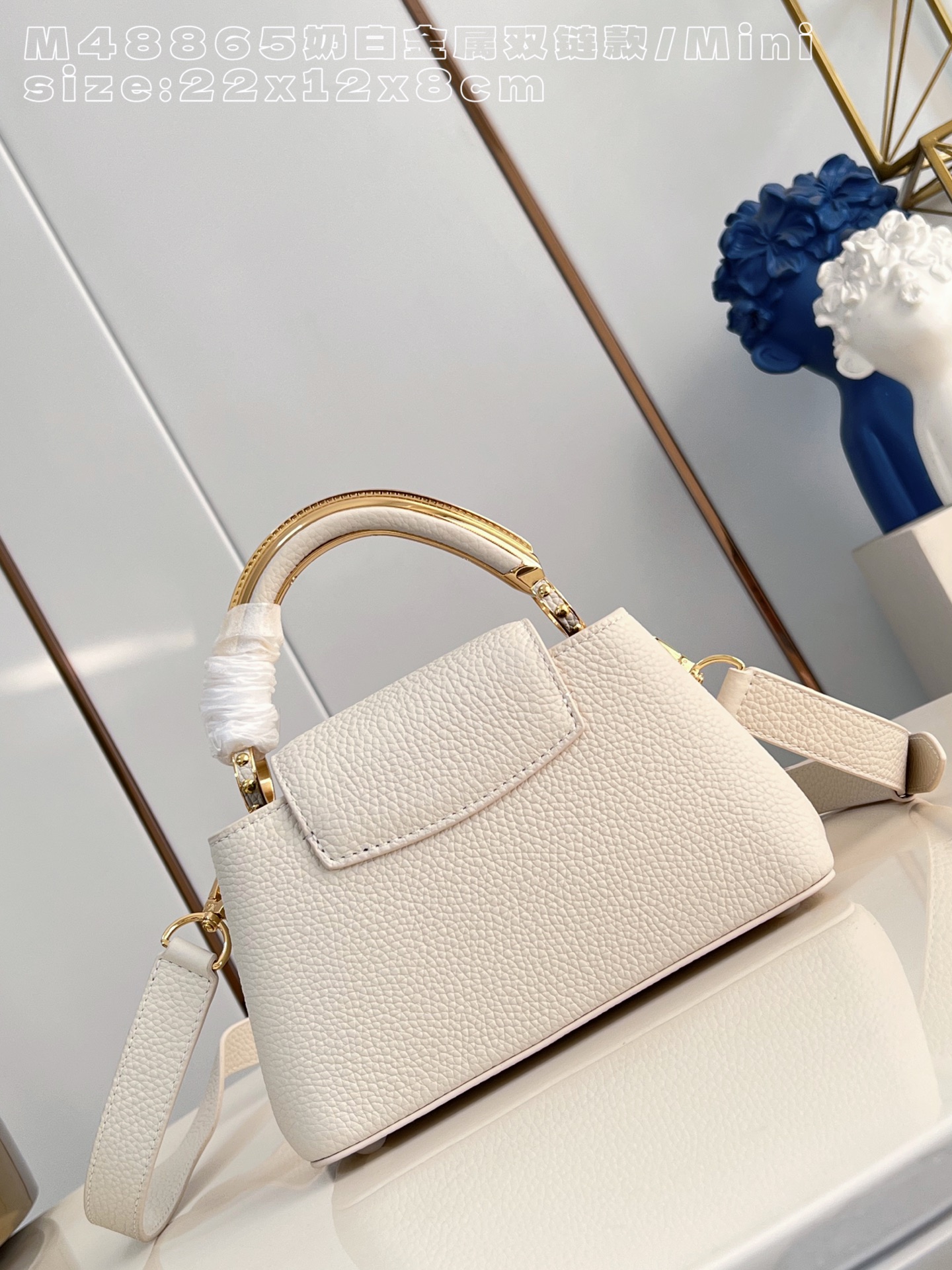 Louis Vuitton Basic Bag Cow Leather M-l-s