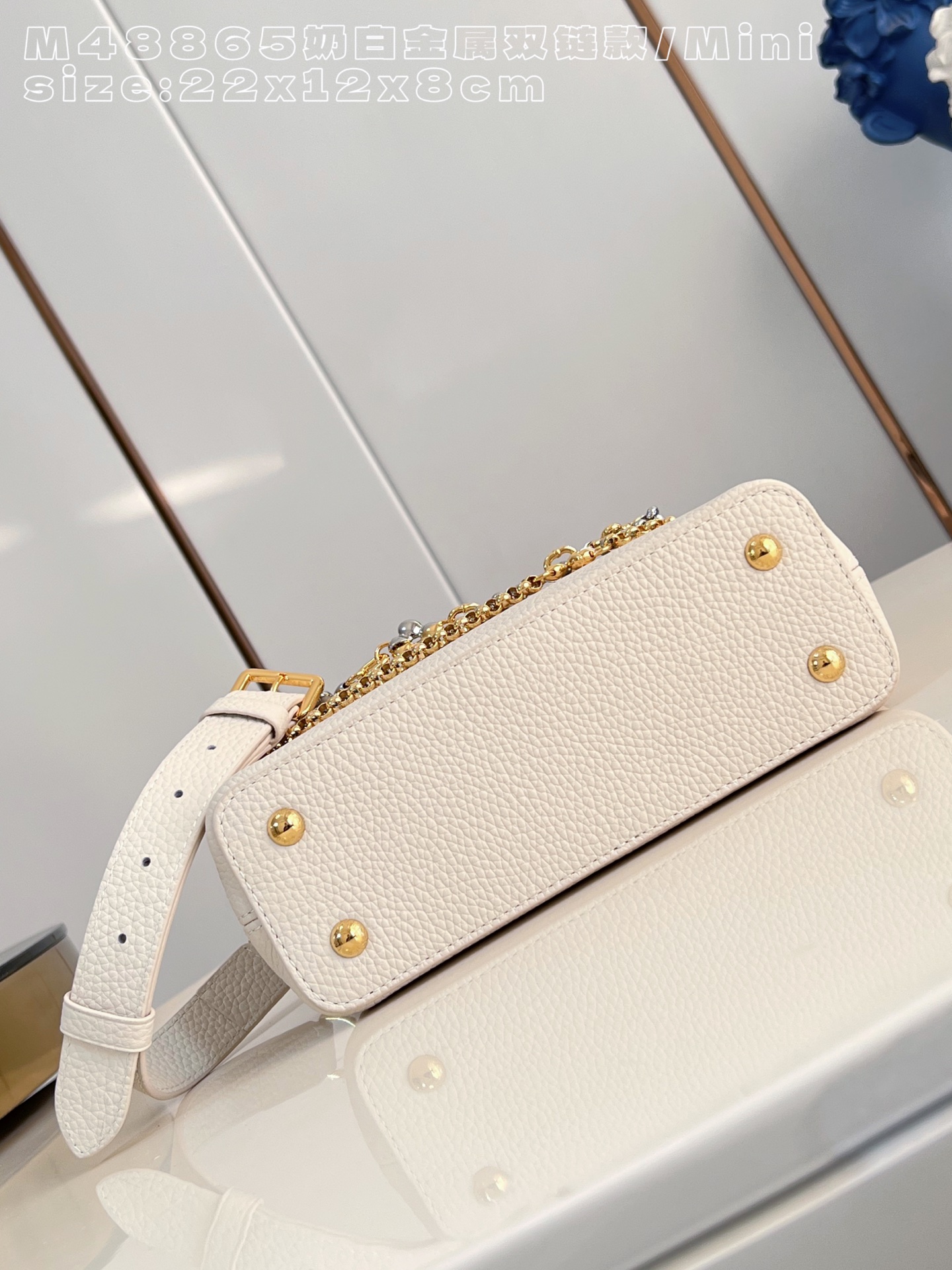 Louis Vuitton Basic Bag Cow Leather M-l-s