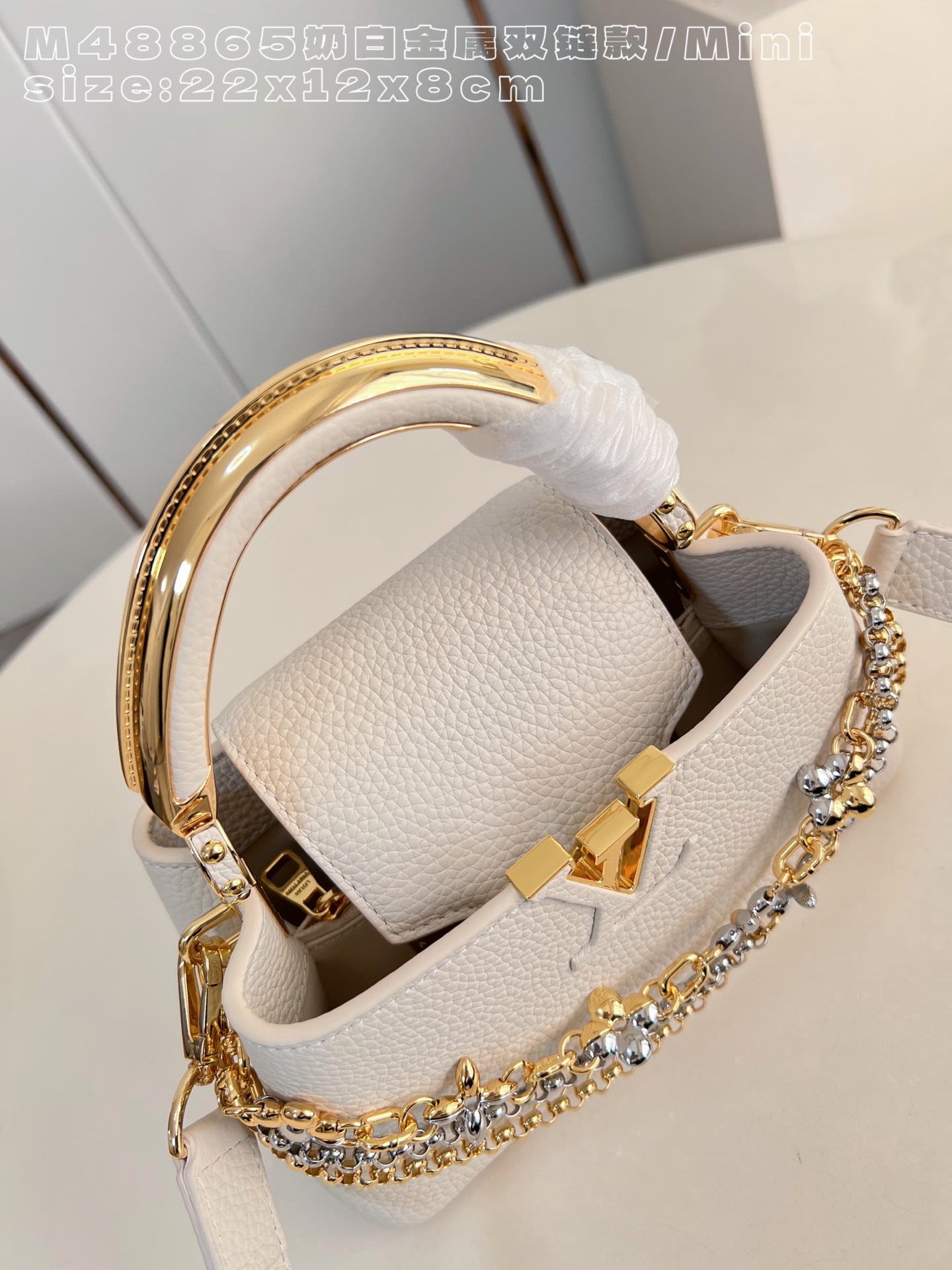 Louis Vuitton Basic Bag Cow Leather M-l-s