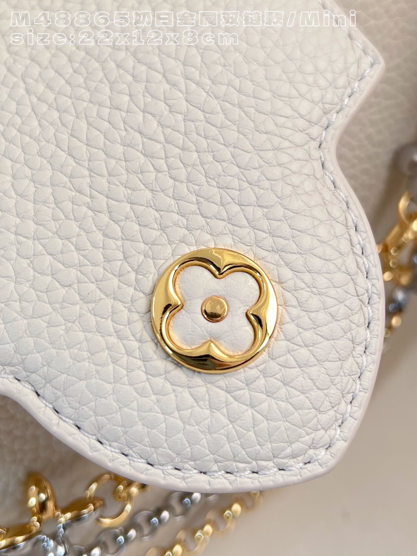 Louis Vuitton Basic Bag Cow Leather M-l-s