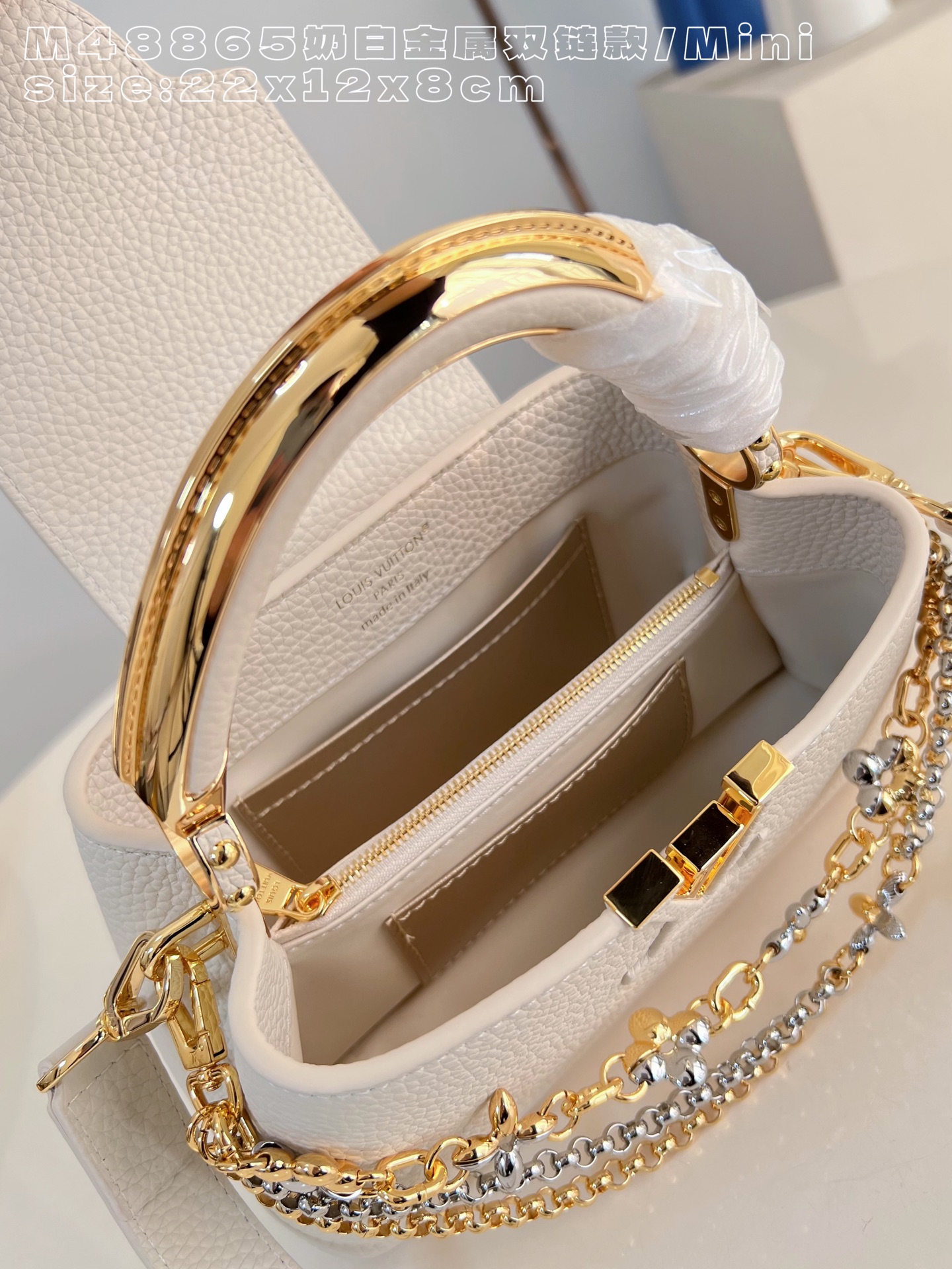 Louis Vuitton Basic Bag Cow Leather M-l-s