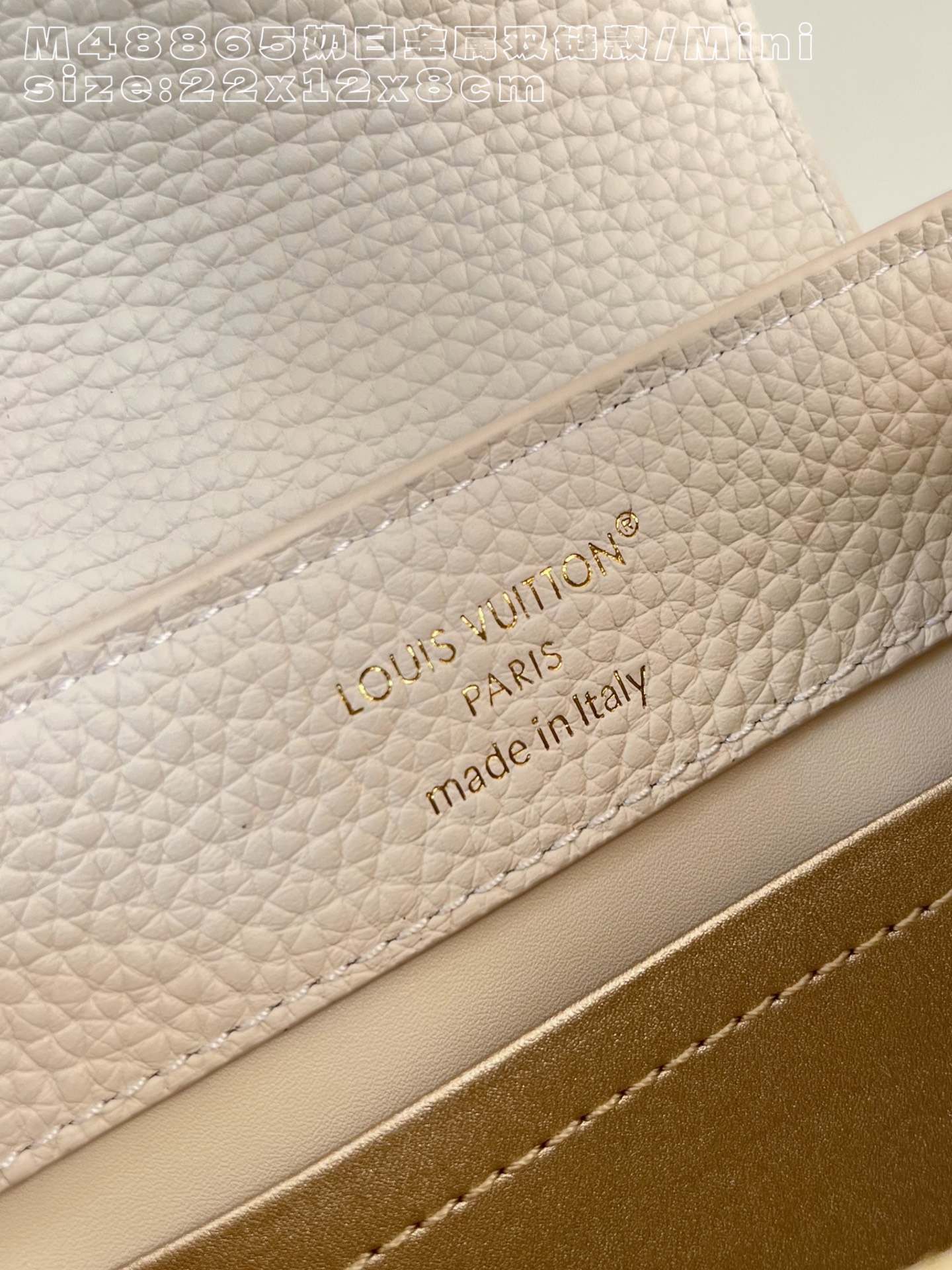 Louis Vuitton Basic Bag Cow Leather M-l-s