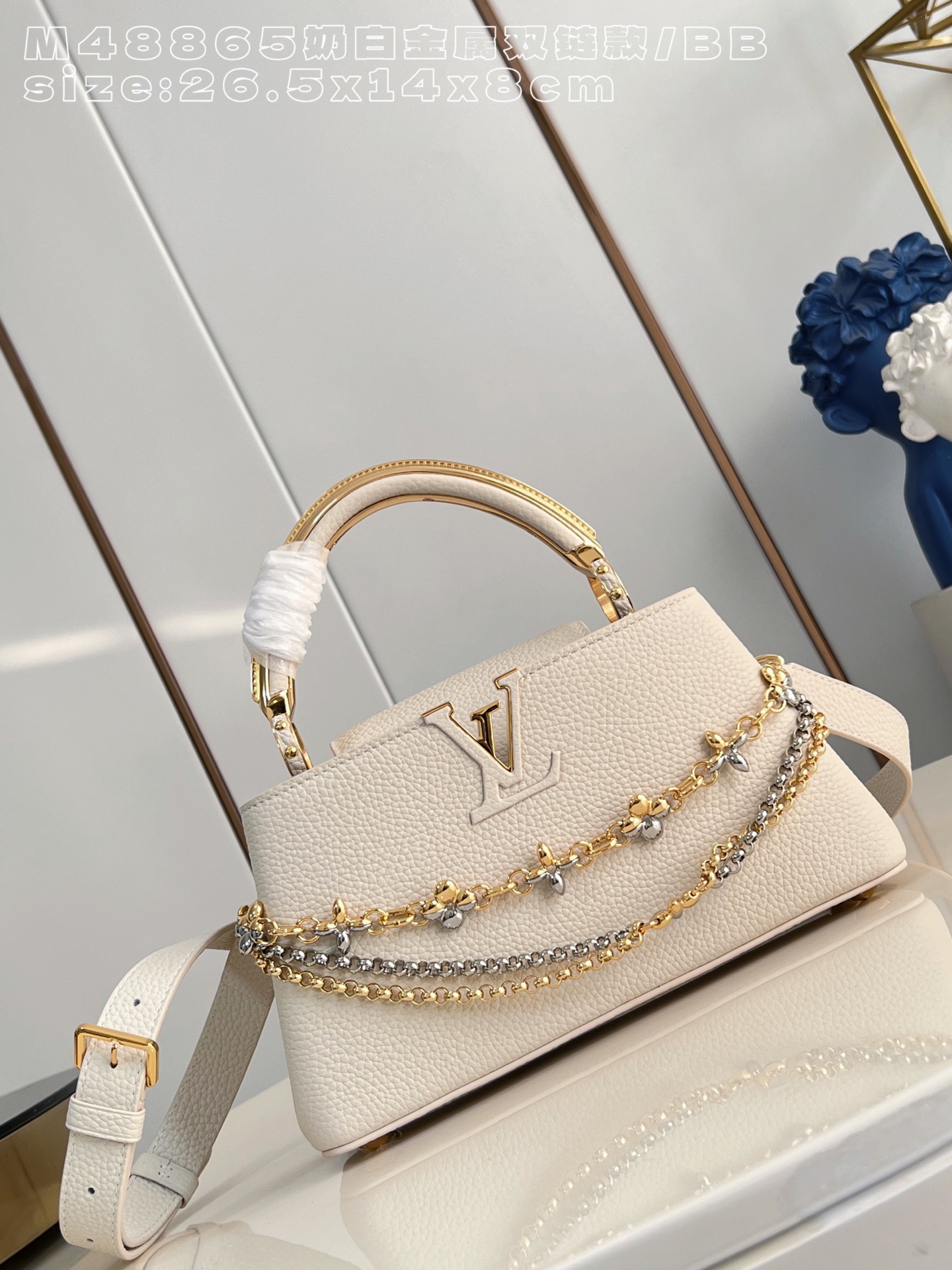 Louis Vuitton Basic Bag Cow Leather M-l-s