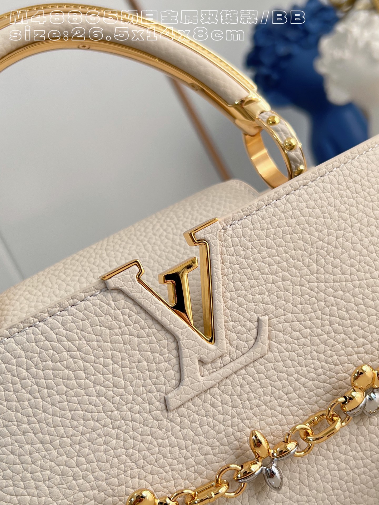 Louis Vuitton Basic Bag Cow Leather M-l-s