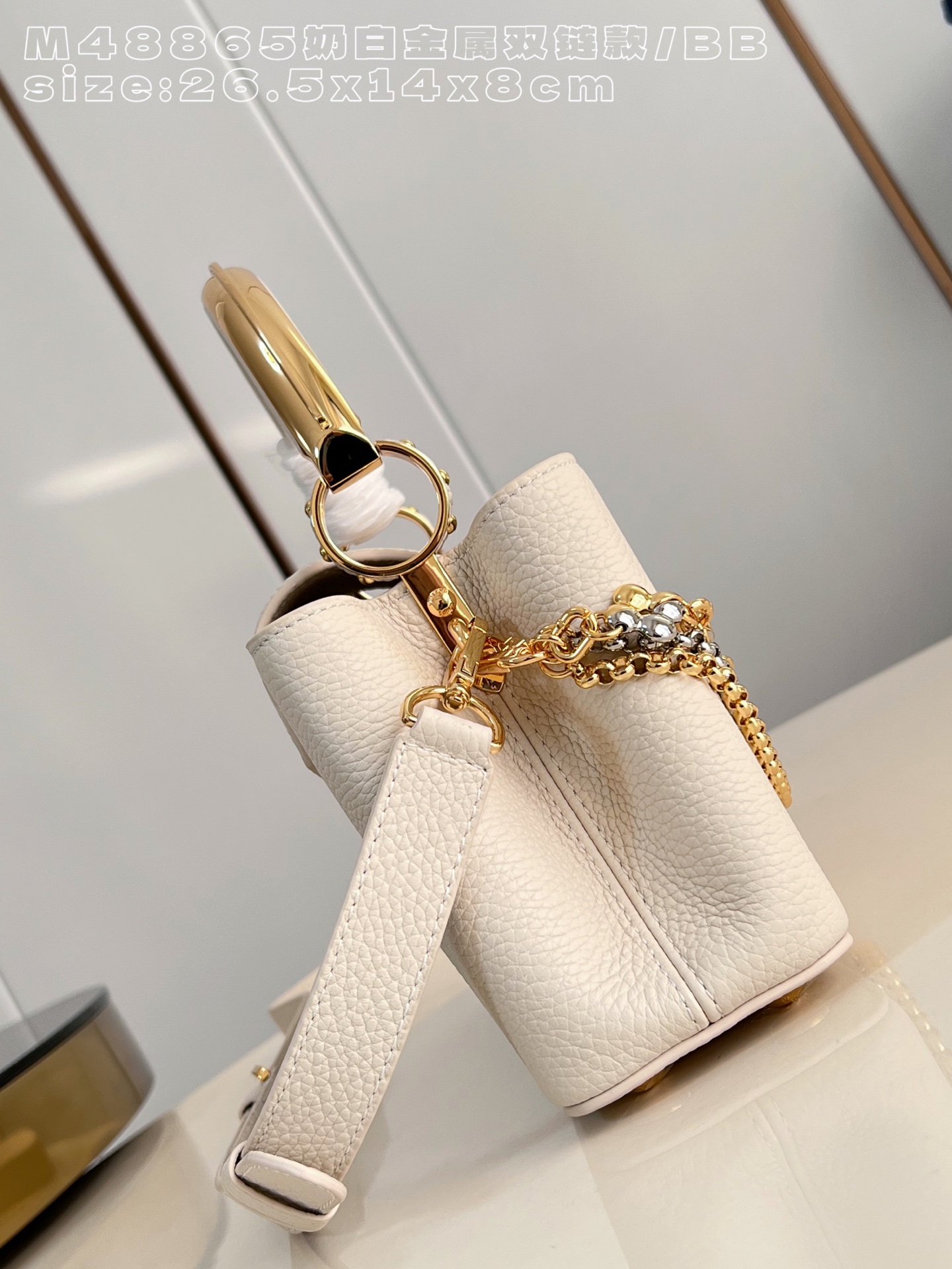 Louis Vuitton Basic Bag Cow Leather M-l-s