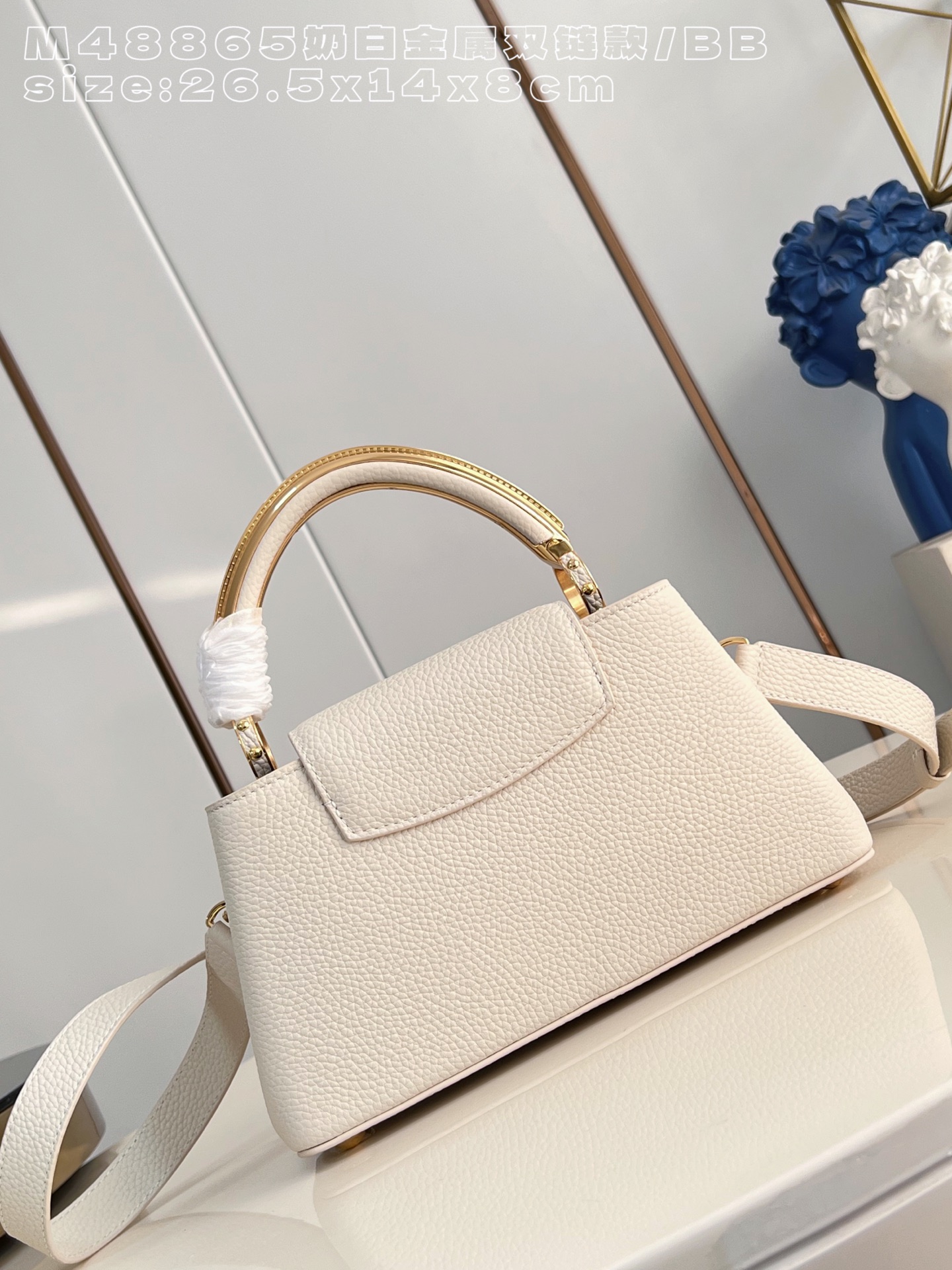 Louis Vuitton Basic Bag Cow Leather M-l-s