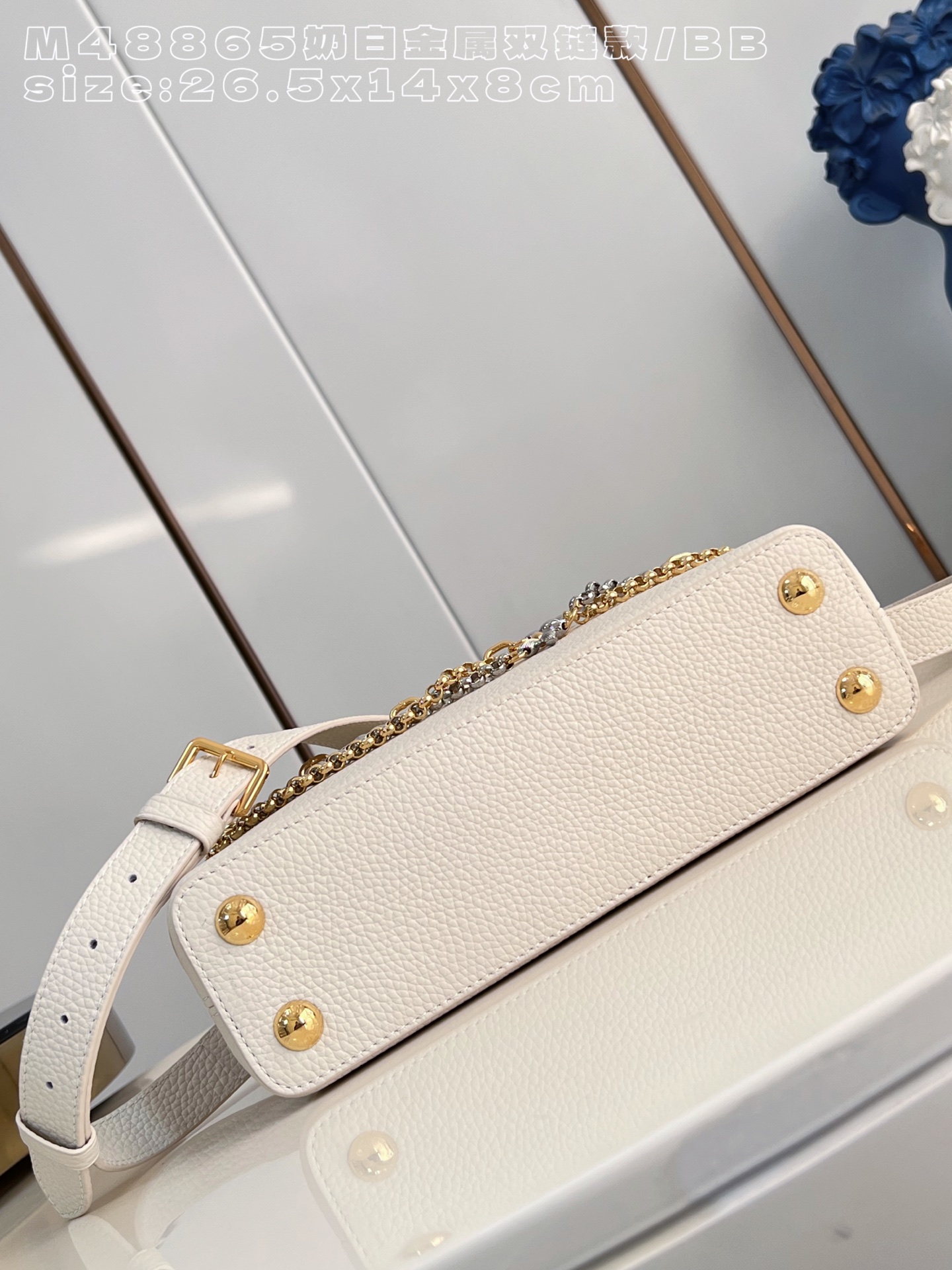 Louis Vuitton Basic Bag Cow Leather M-l-s