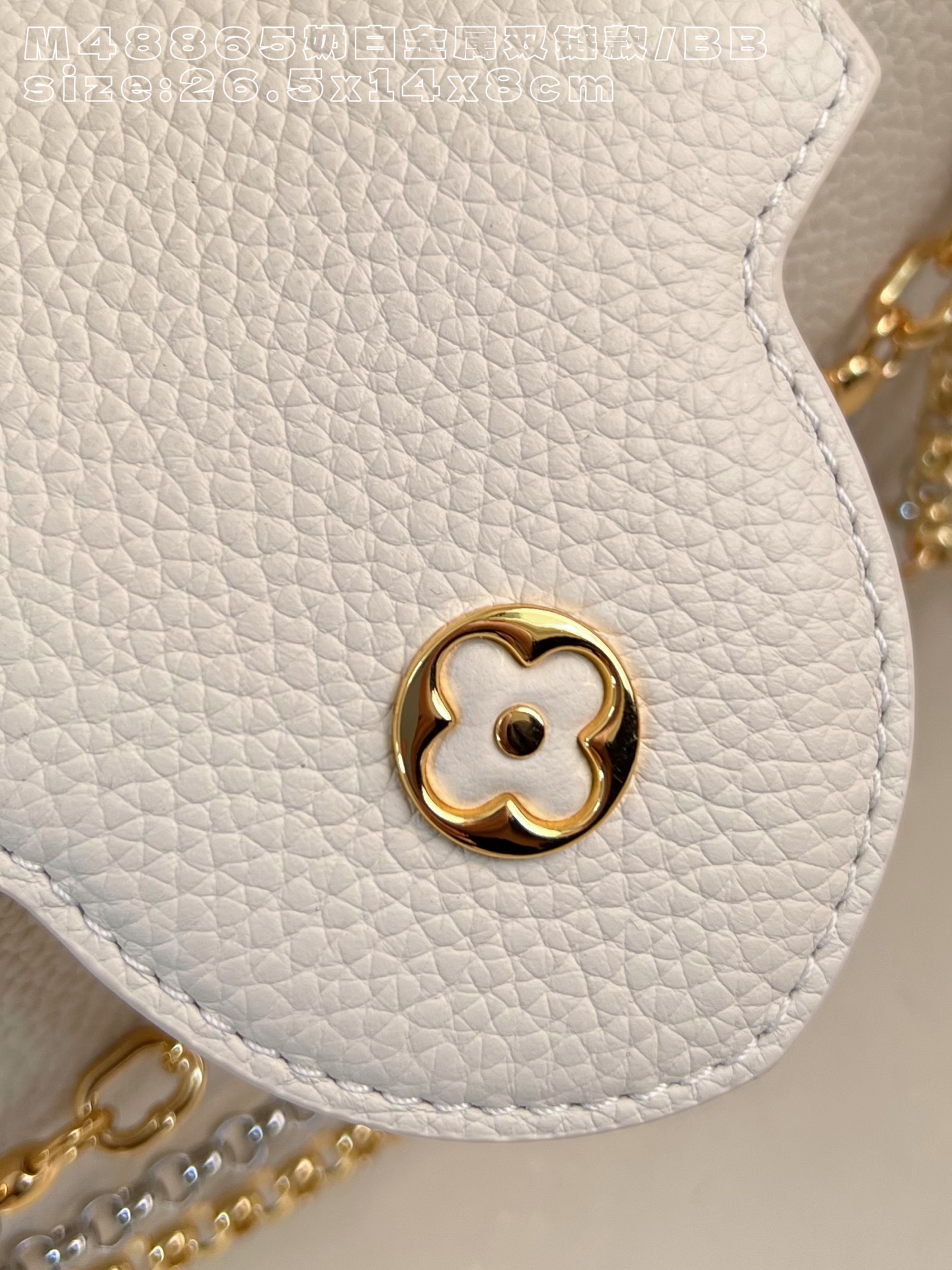 Louis Vuitton Basic Bag Cow Leather M-l-s