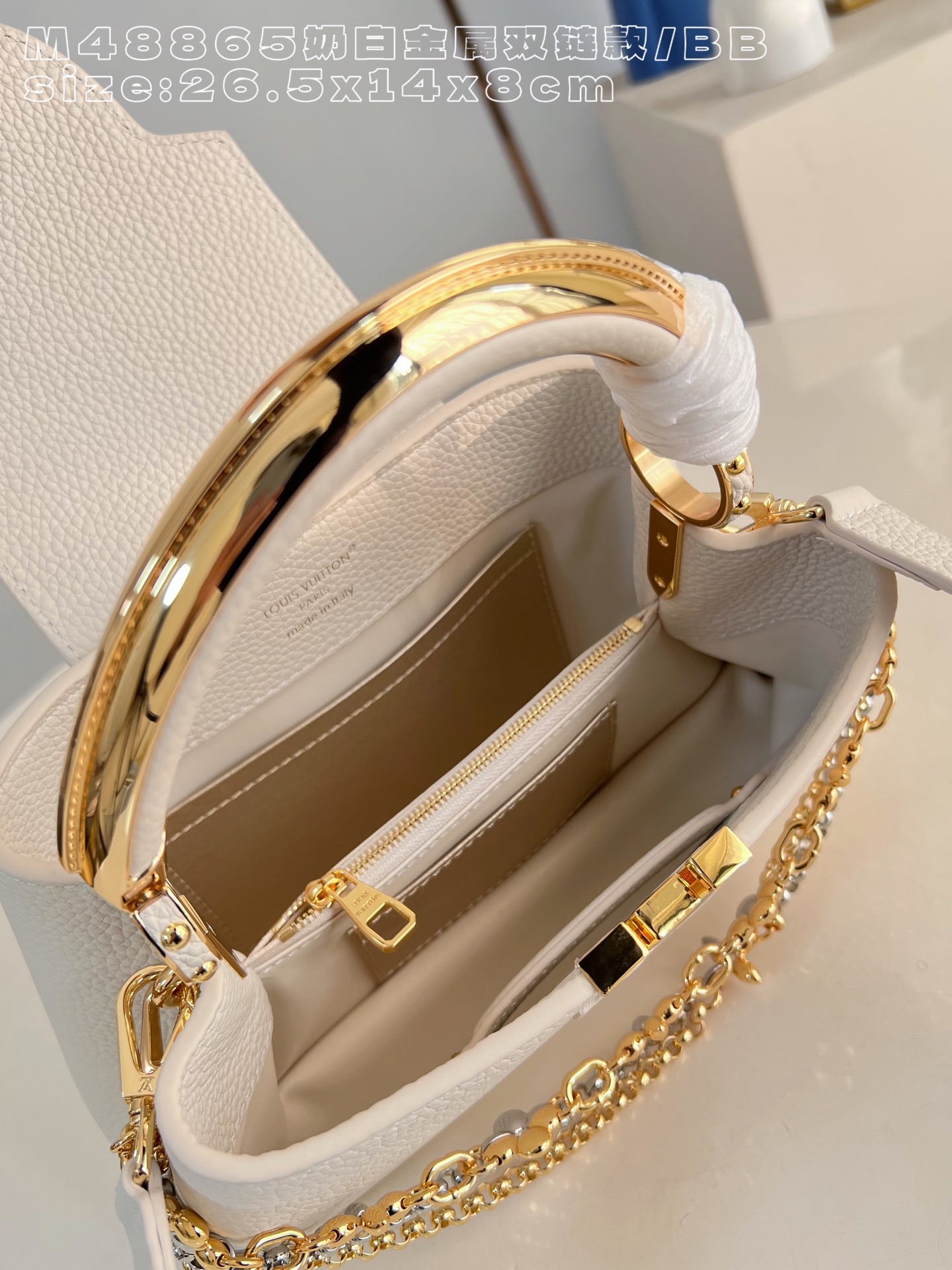 Louis Vuitton Basic Bag Cow Leather M-l-s