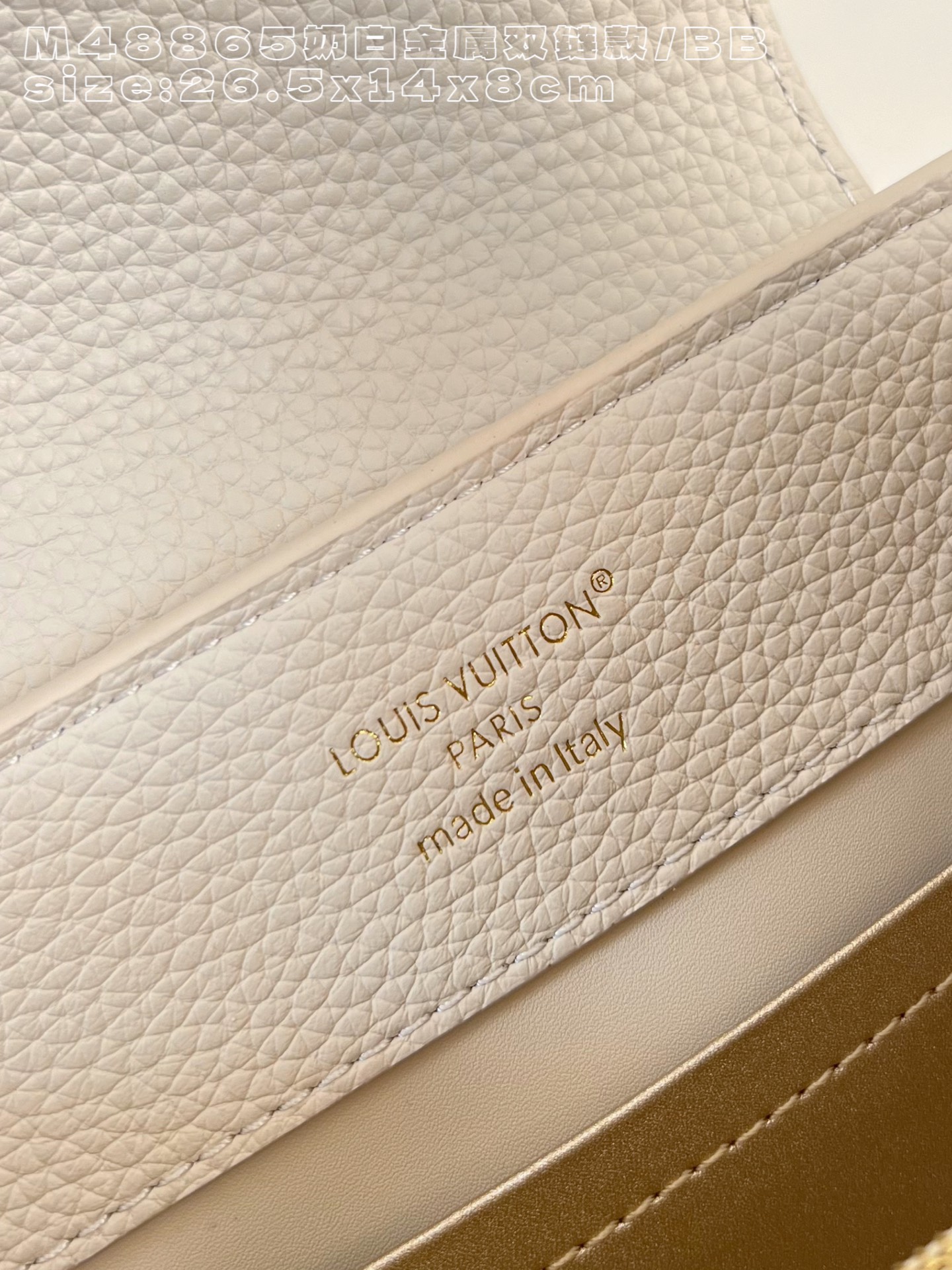 Louis Vuitton Basic Bag Cow Leather M-l-s