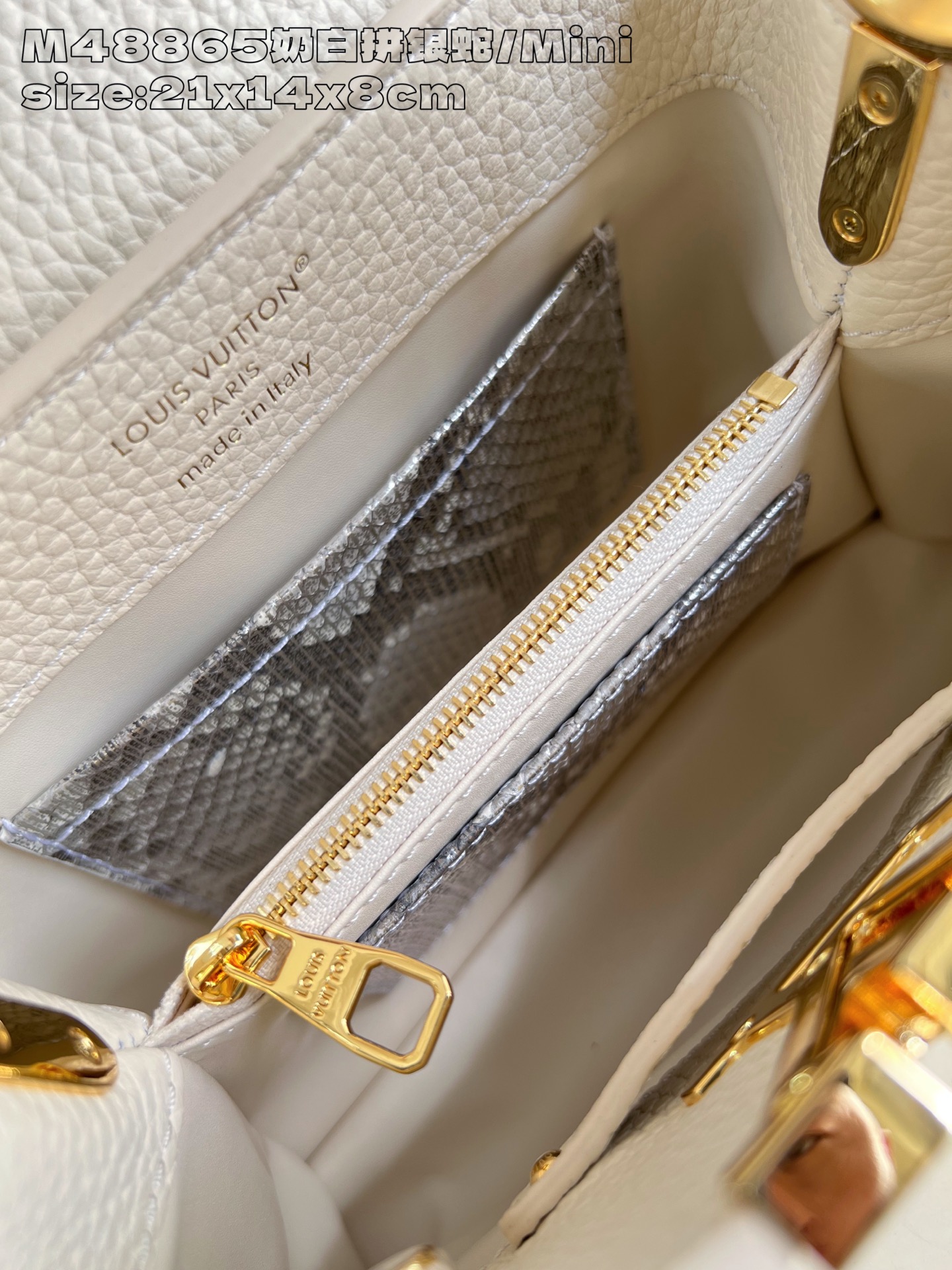 Louis Vuitton Basic Bag Cow Leather M-l-s