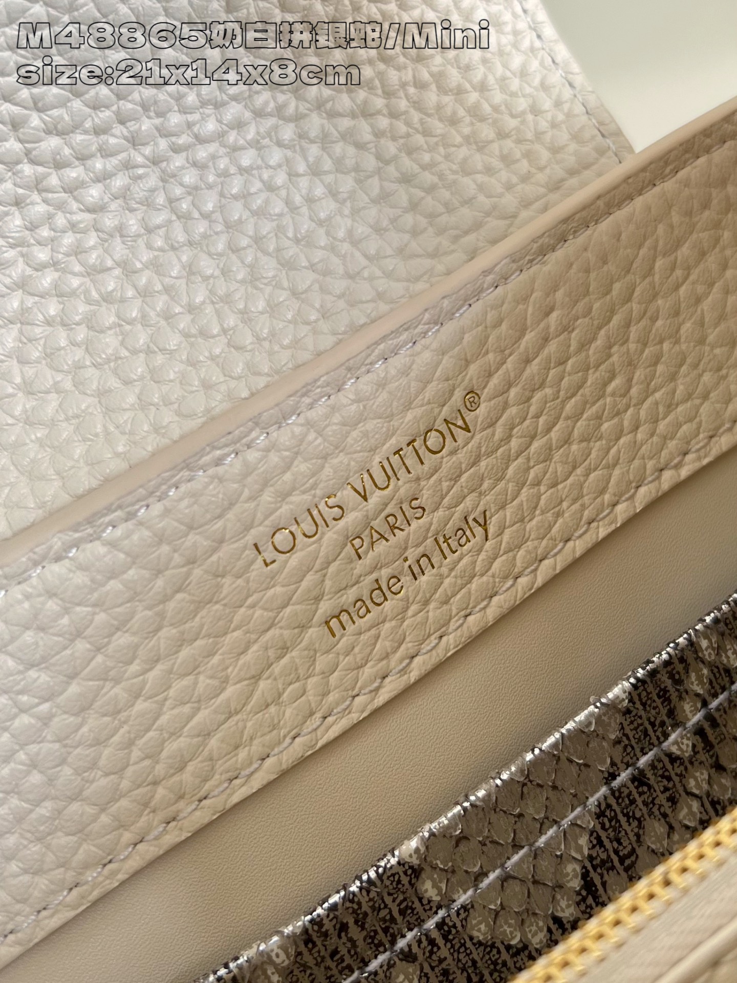 Louis Vuitton Basic Bag Cow Leather M-l-s