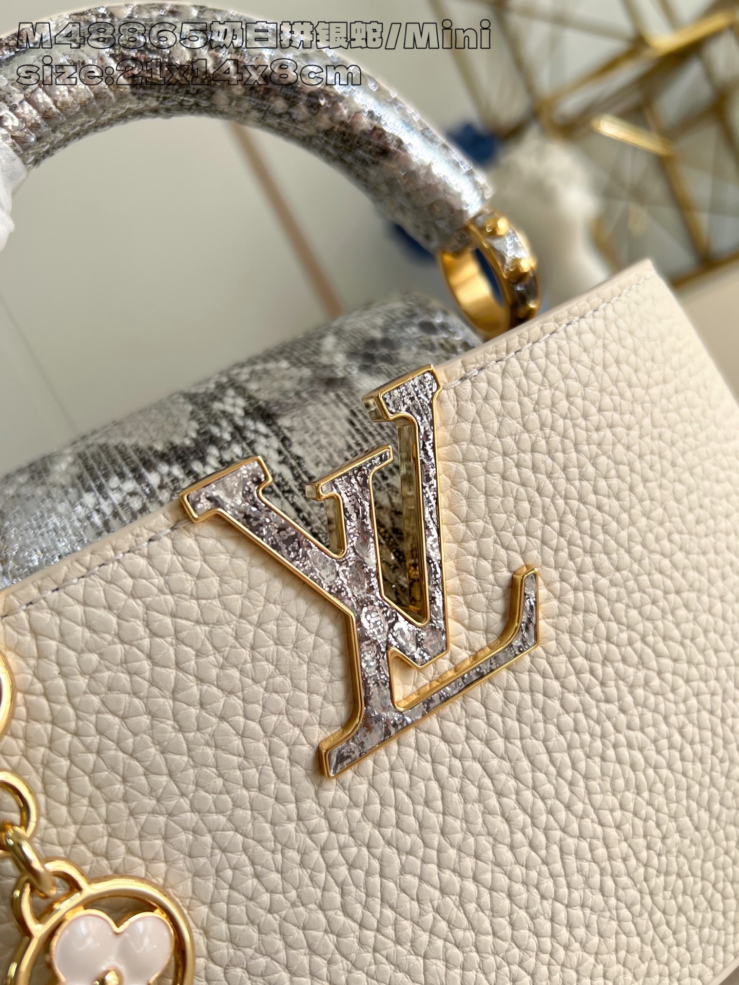 Louis Vuitton Basic Bag Cow Leather M-l-s