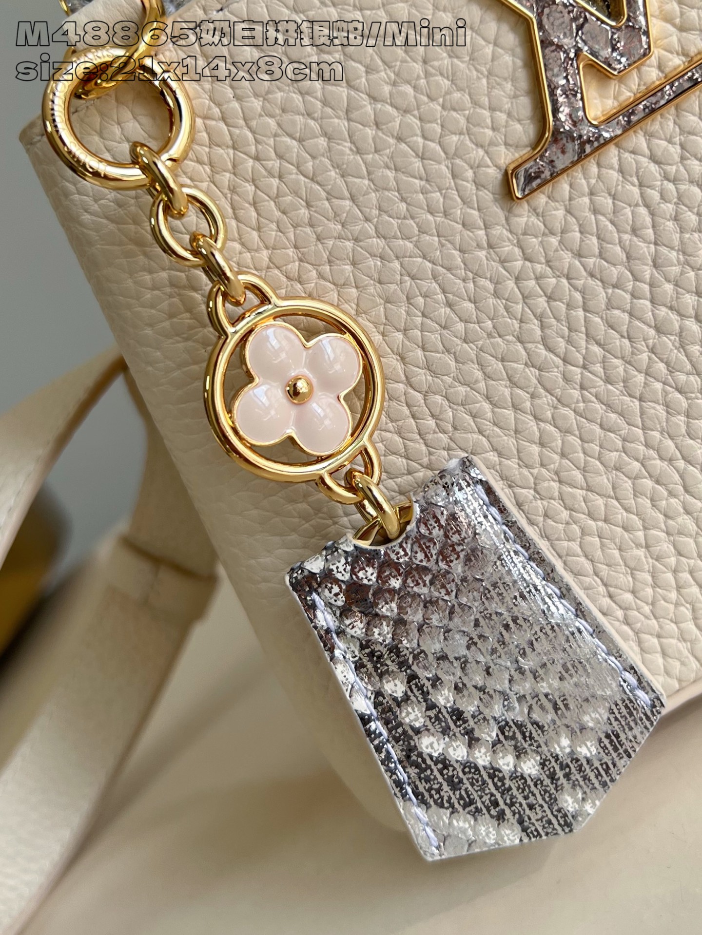 Louis Vuitton Basic Bag Cow Leather M-l-s