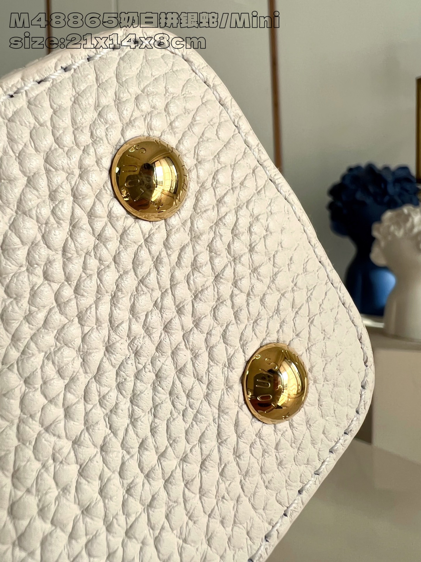 Louis Vuitton Basic Bag Cow Leather M-l-s