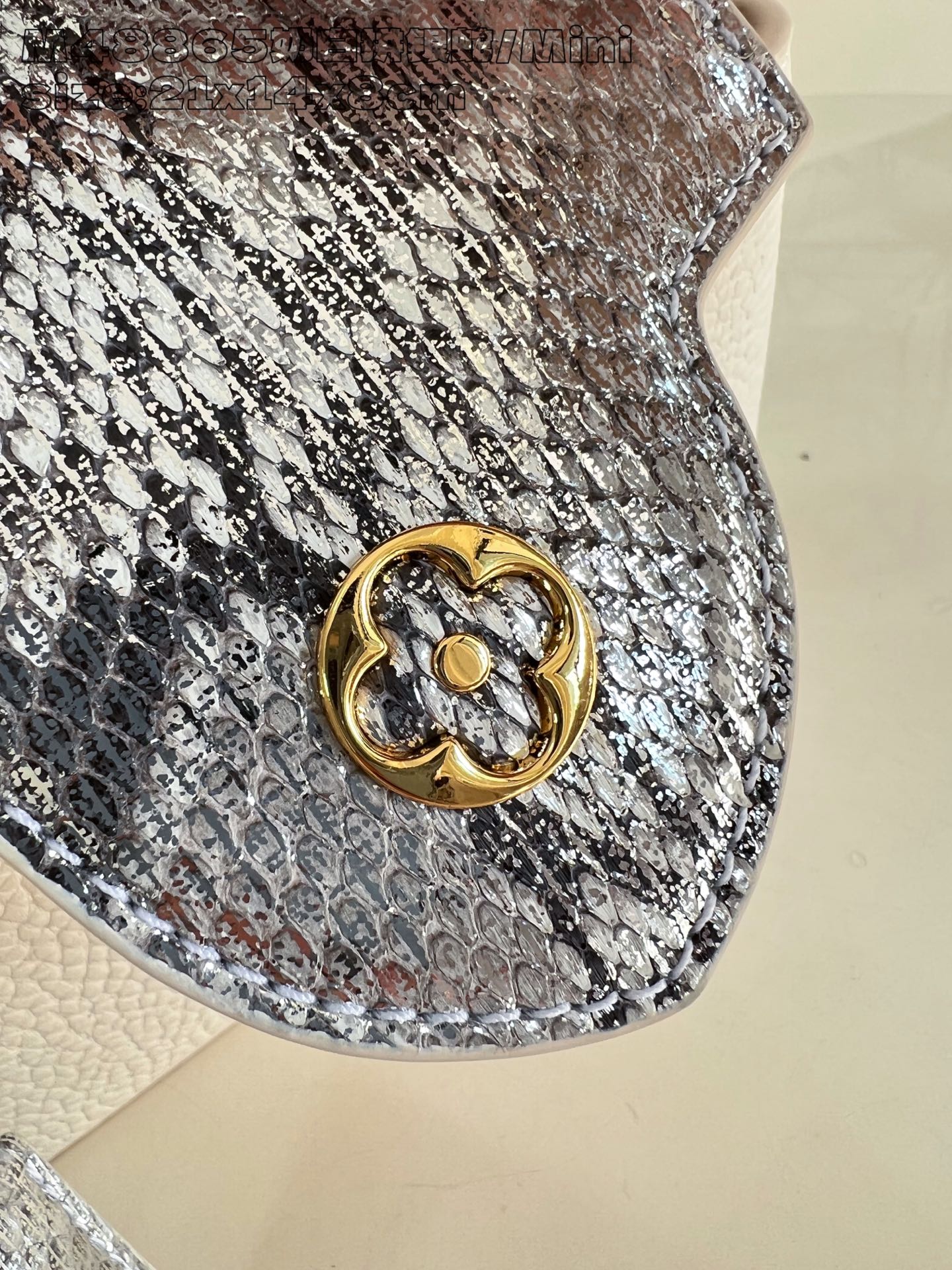 Louis Vuitton Basic Bag Cow Leather M-l-s