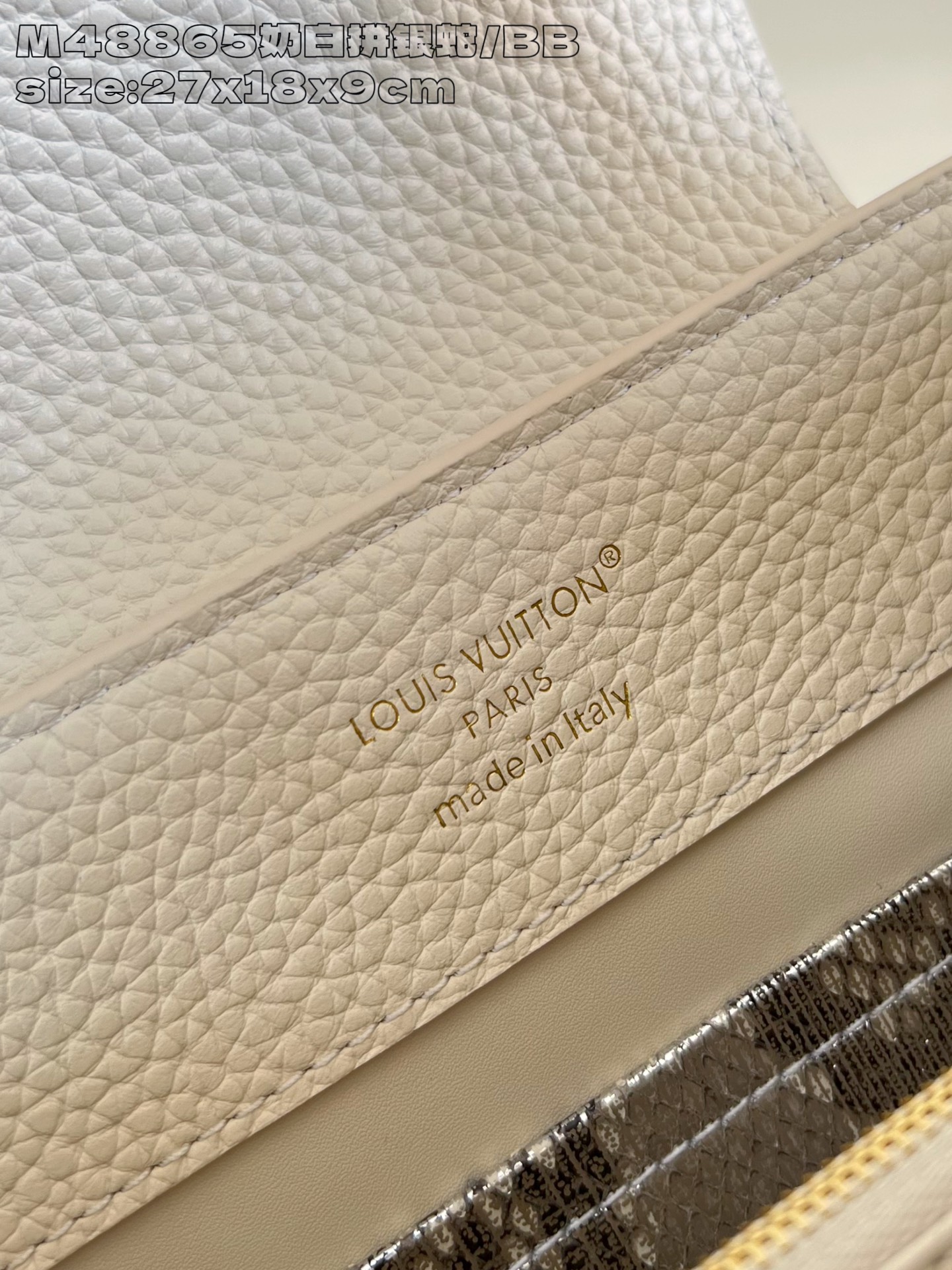 Louis Vuitton Basic Bag Cow Leather M-l-s