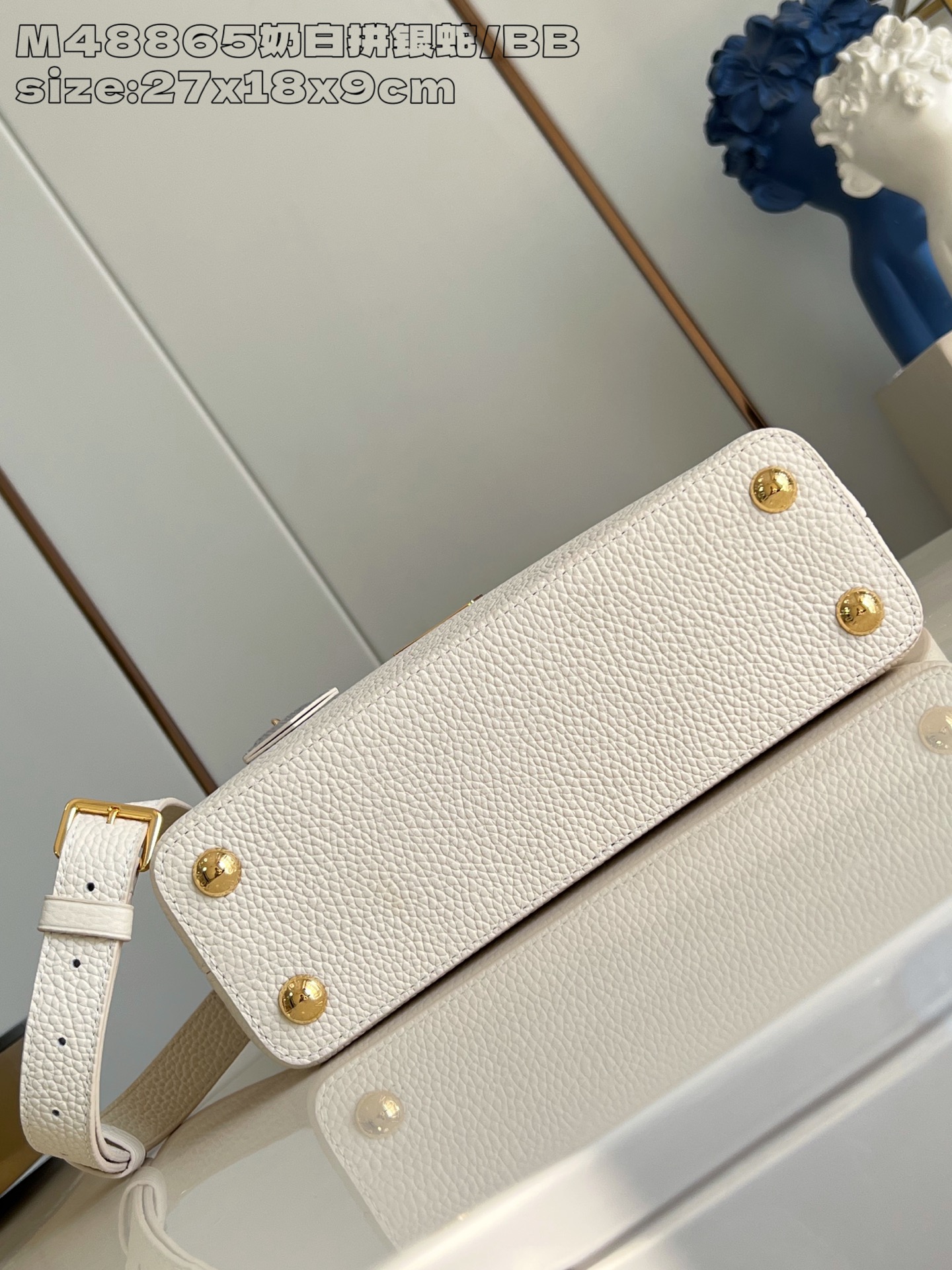 Louis Vuitton Basic Bag Cow Leather M-l-s