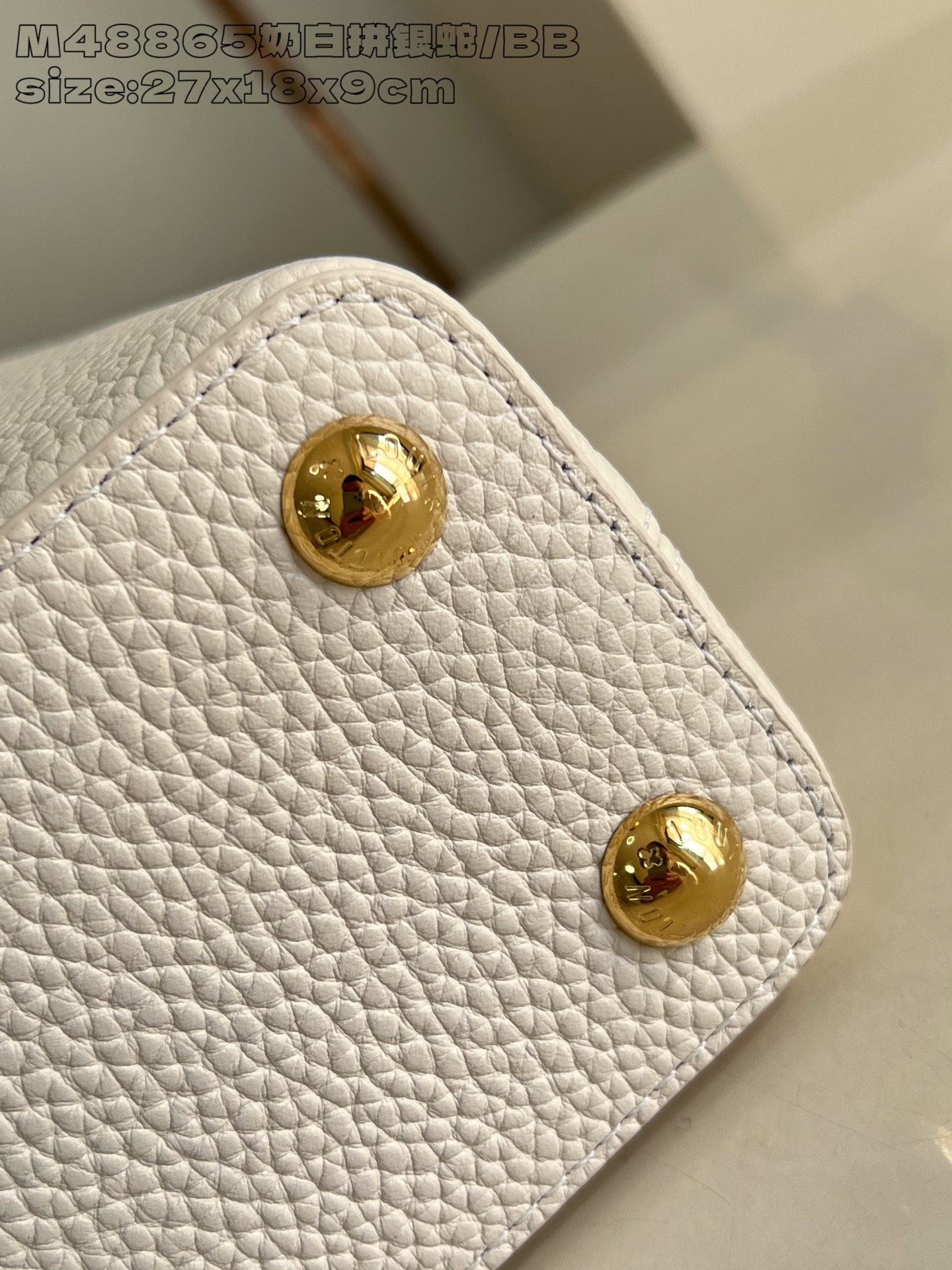 Louis Vuitton Basic Bag Cow Leather M-l-s