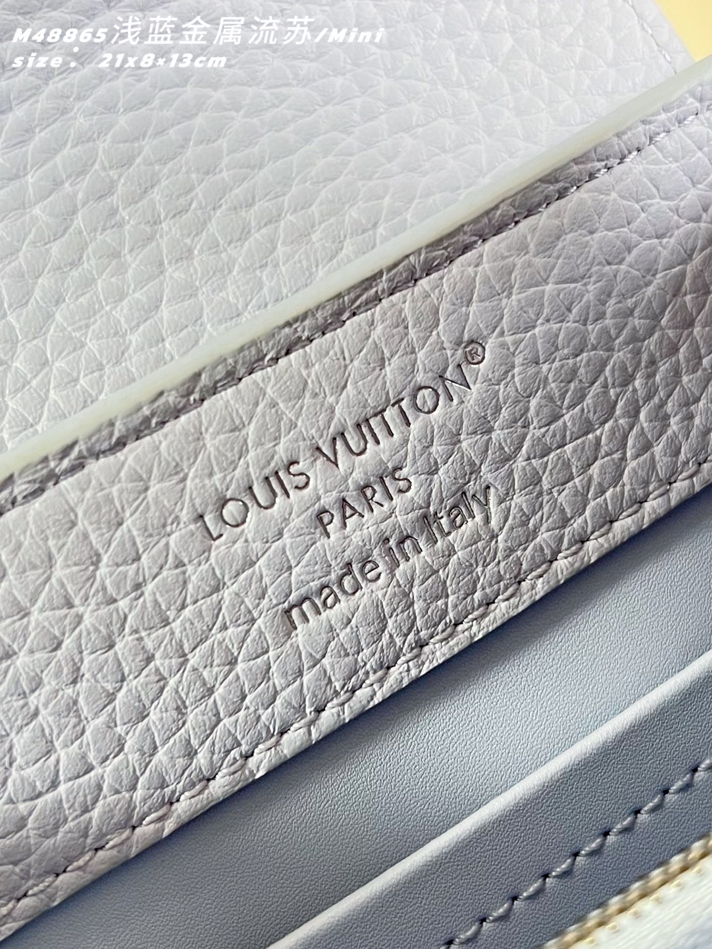 Louis Vuitton Basic Bag Cow Leather M-l-s