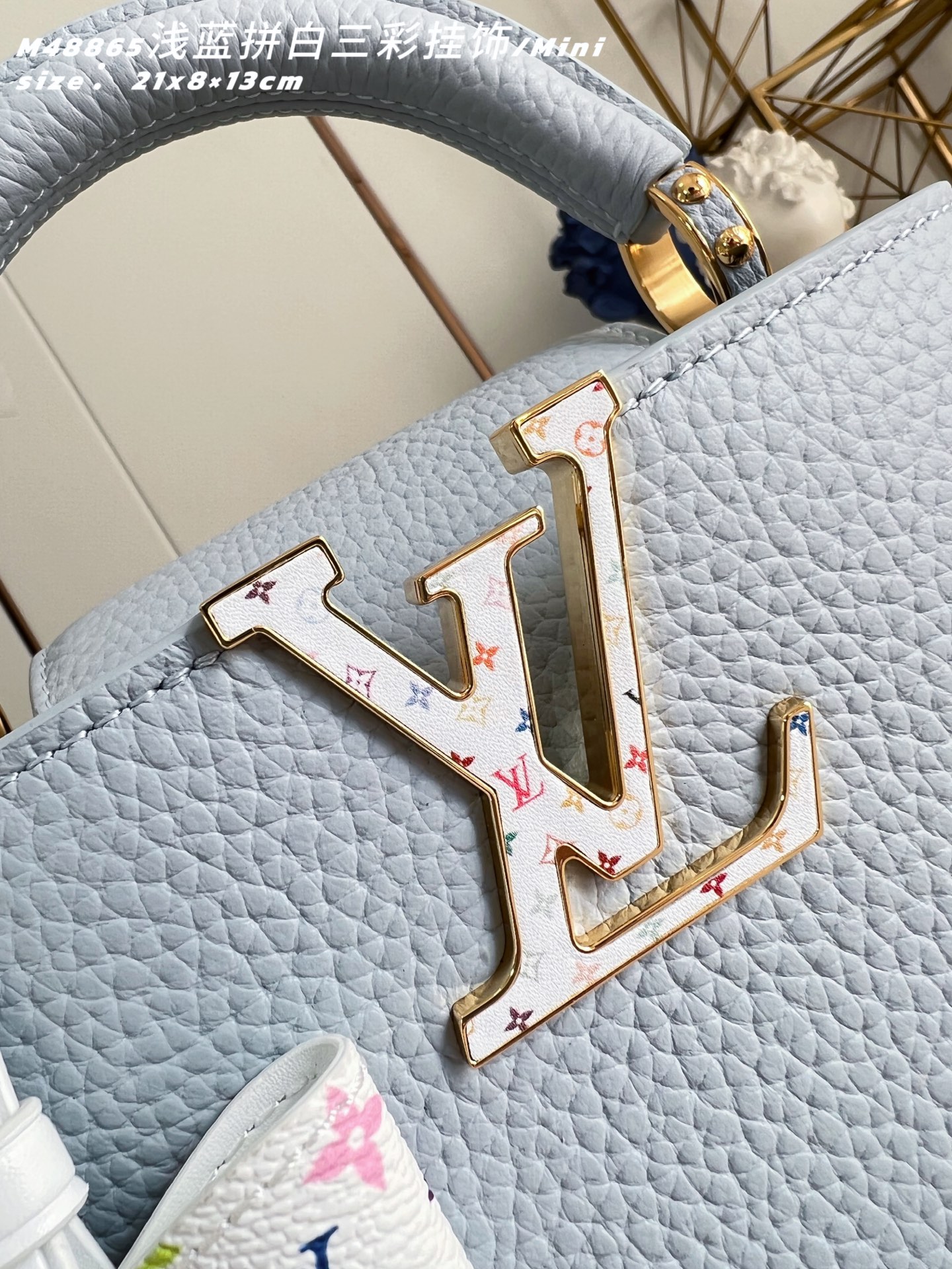 Louis Vuitton Basic Bag Cow Leather M-l-s