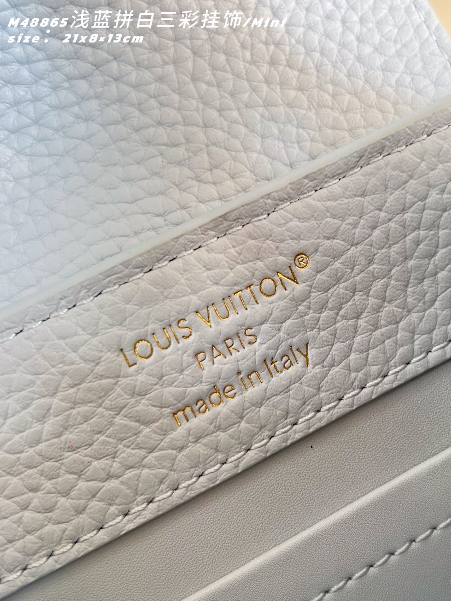 Louis Vuitton Basic Bag Cow Leather M-l-s