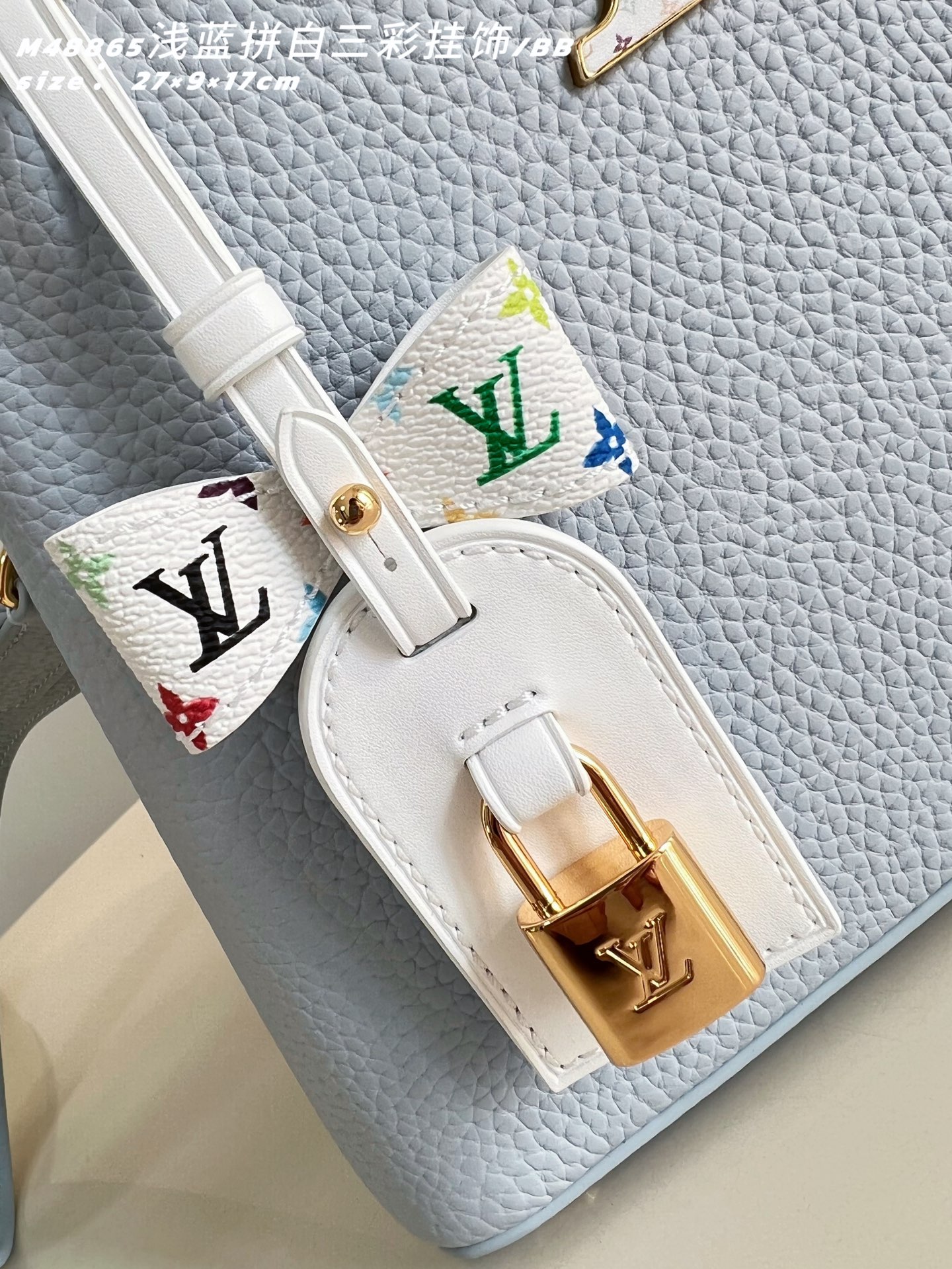 Louis Vuitton Basic Bag Cow Leather M-l-s