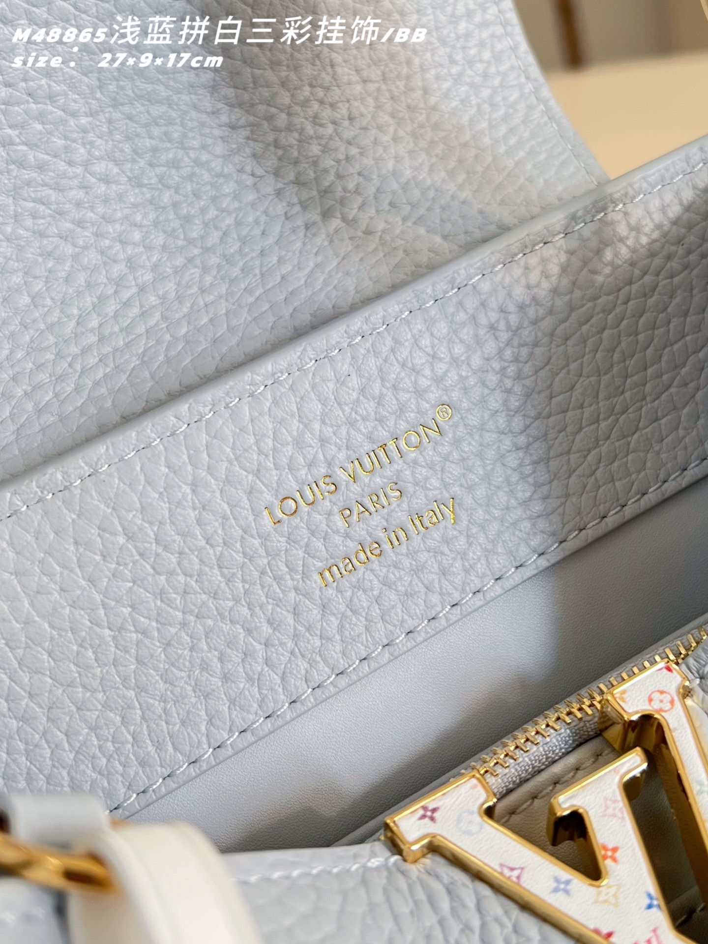 Louis Vuitton Basic Bag Cow Leather M-l-s