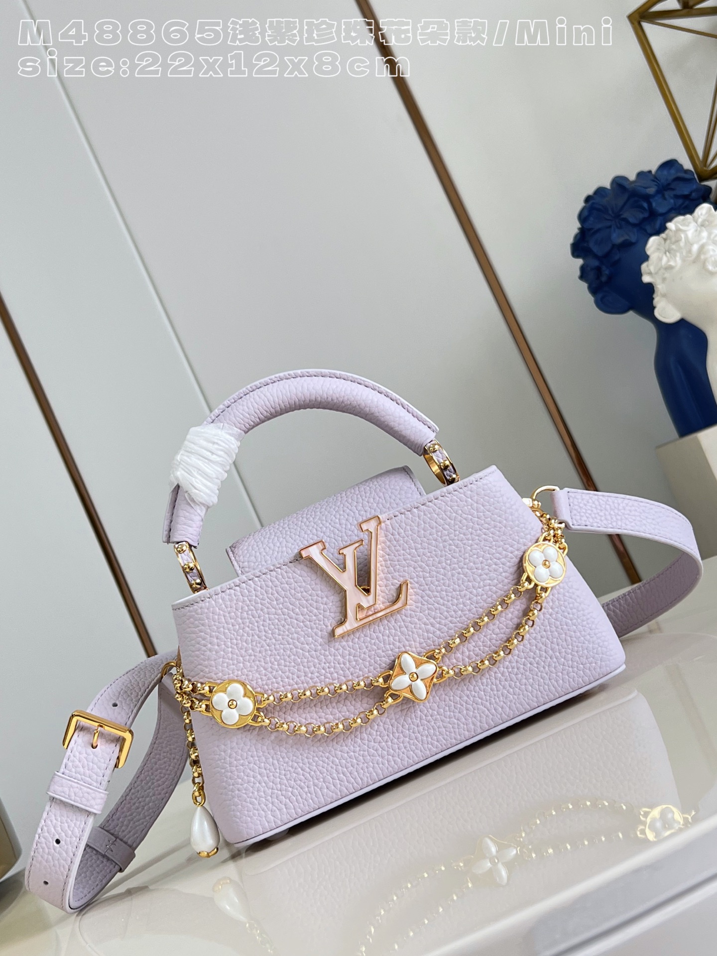 Louis Vuitton Basic Bag Cow Leather M-l-s
